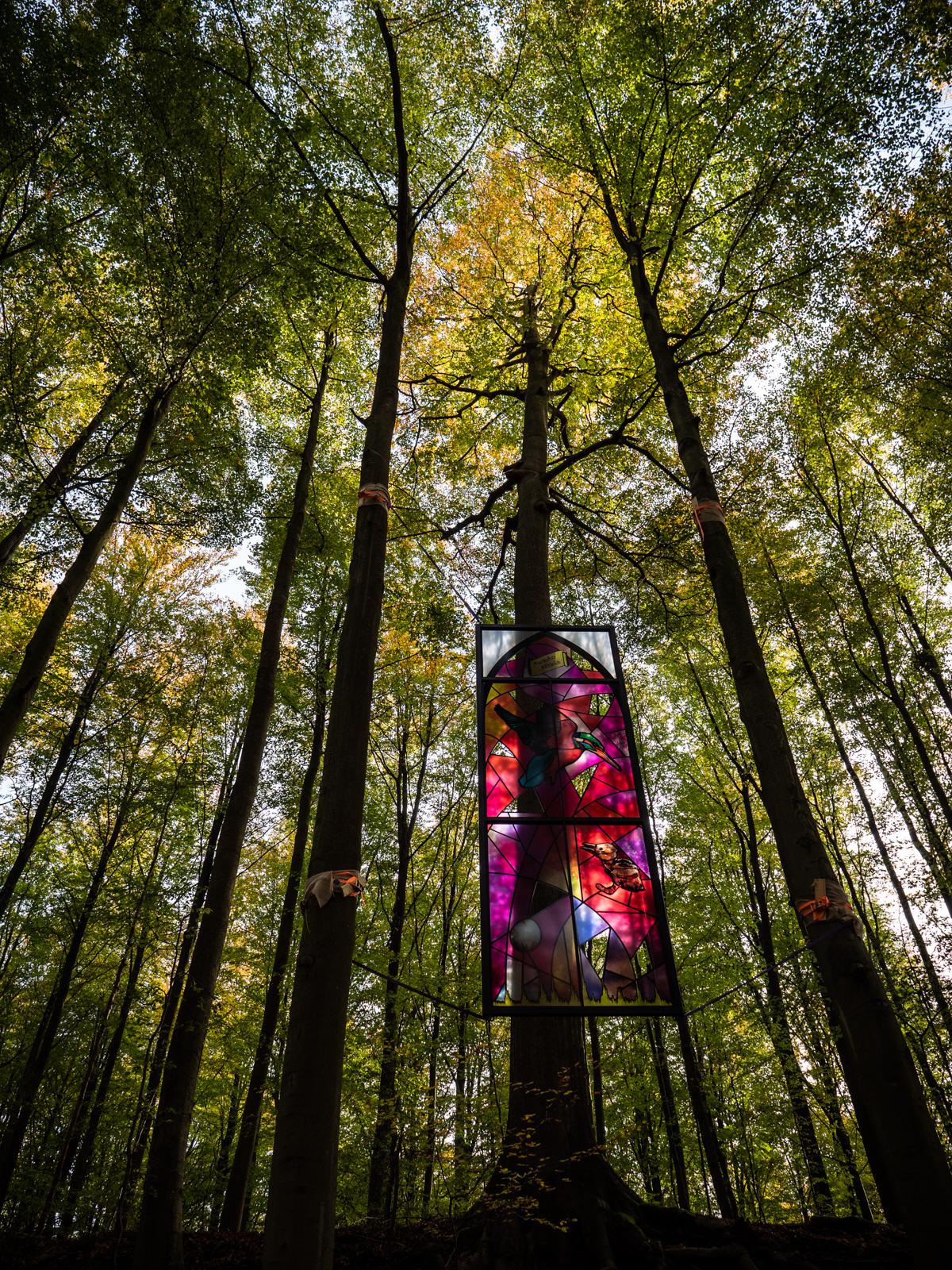 Came upon a stained glass window hanging in a forest in Belgium r