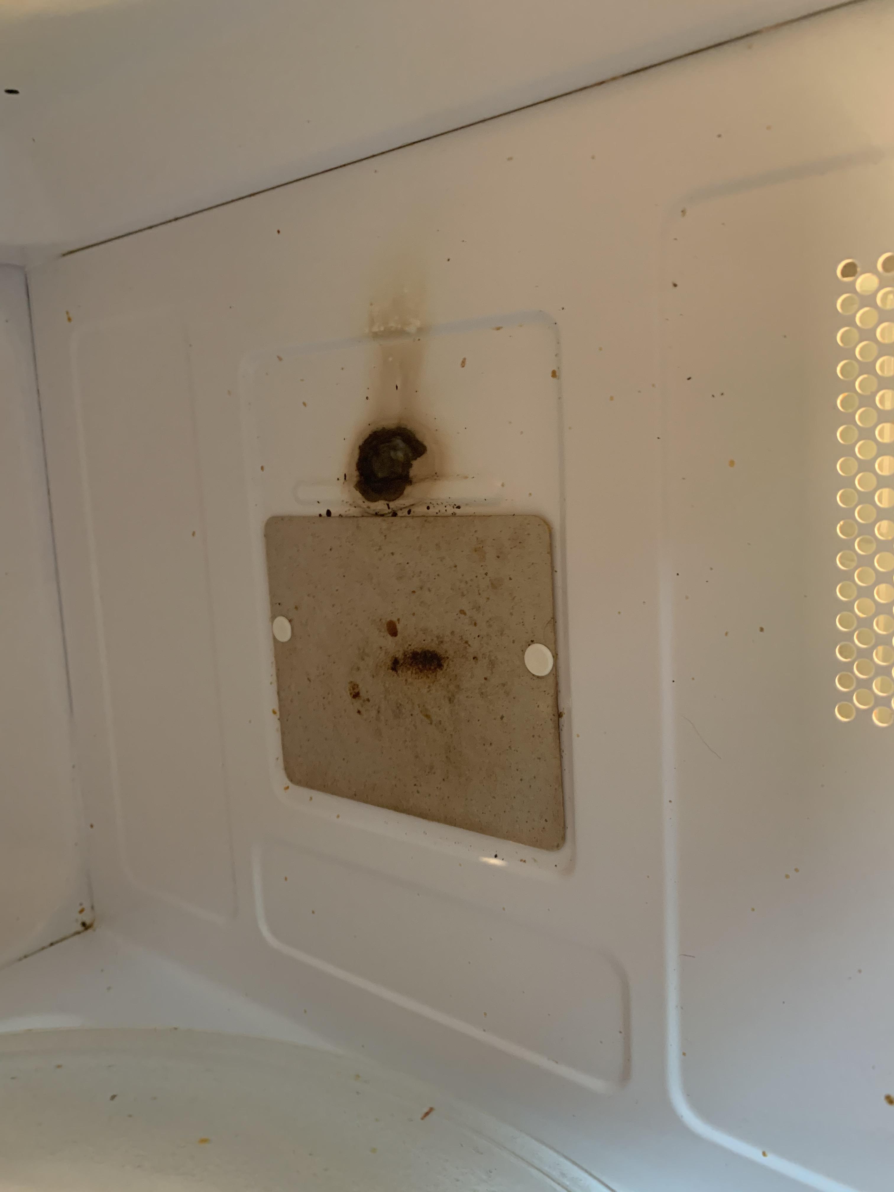 Is my microwave dead? r/appliancerepair
