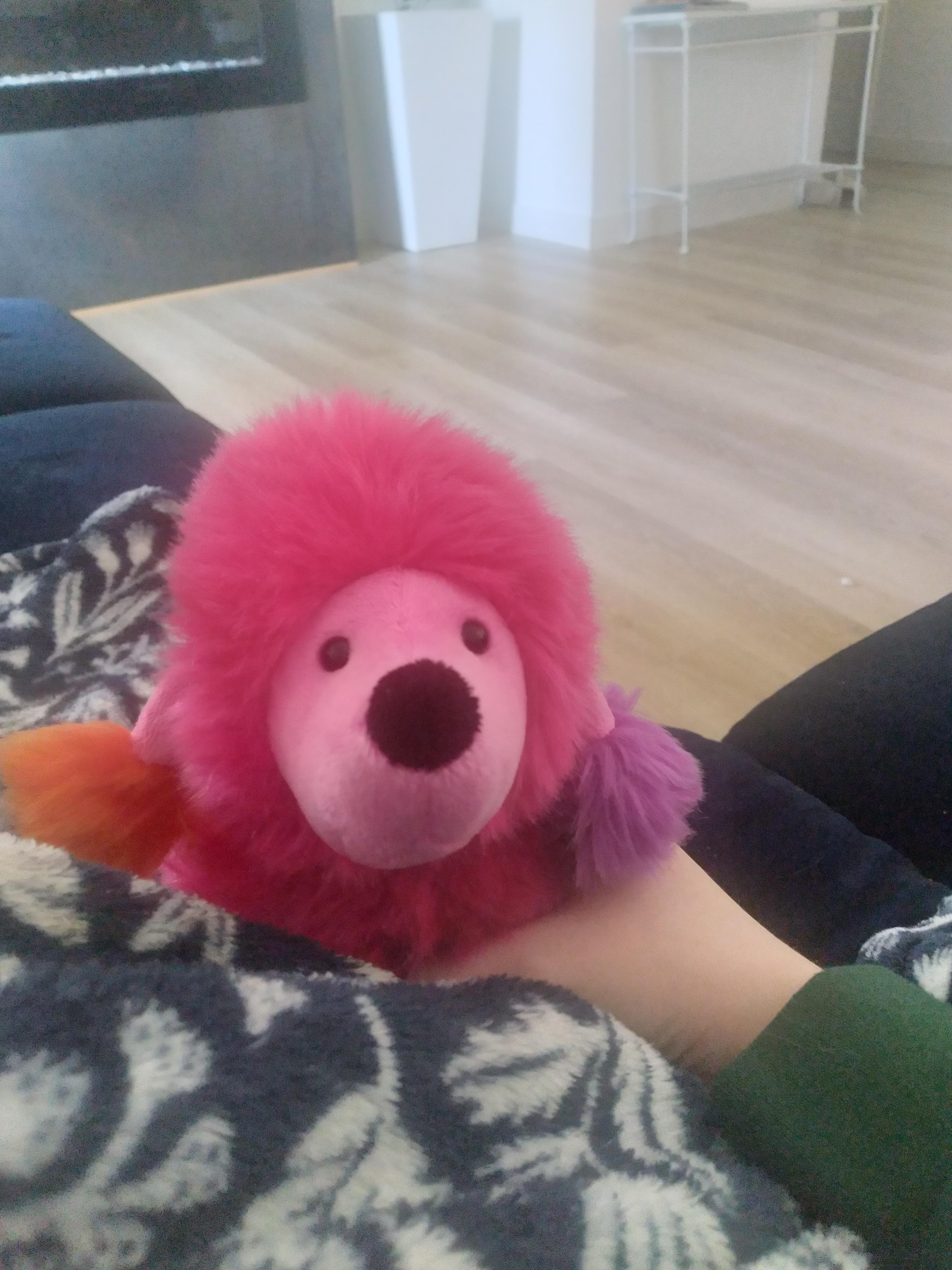 Meet Daisetta! I found her a thrift store NWT in 2019. Today is her