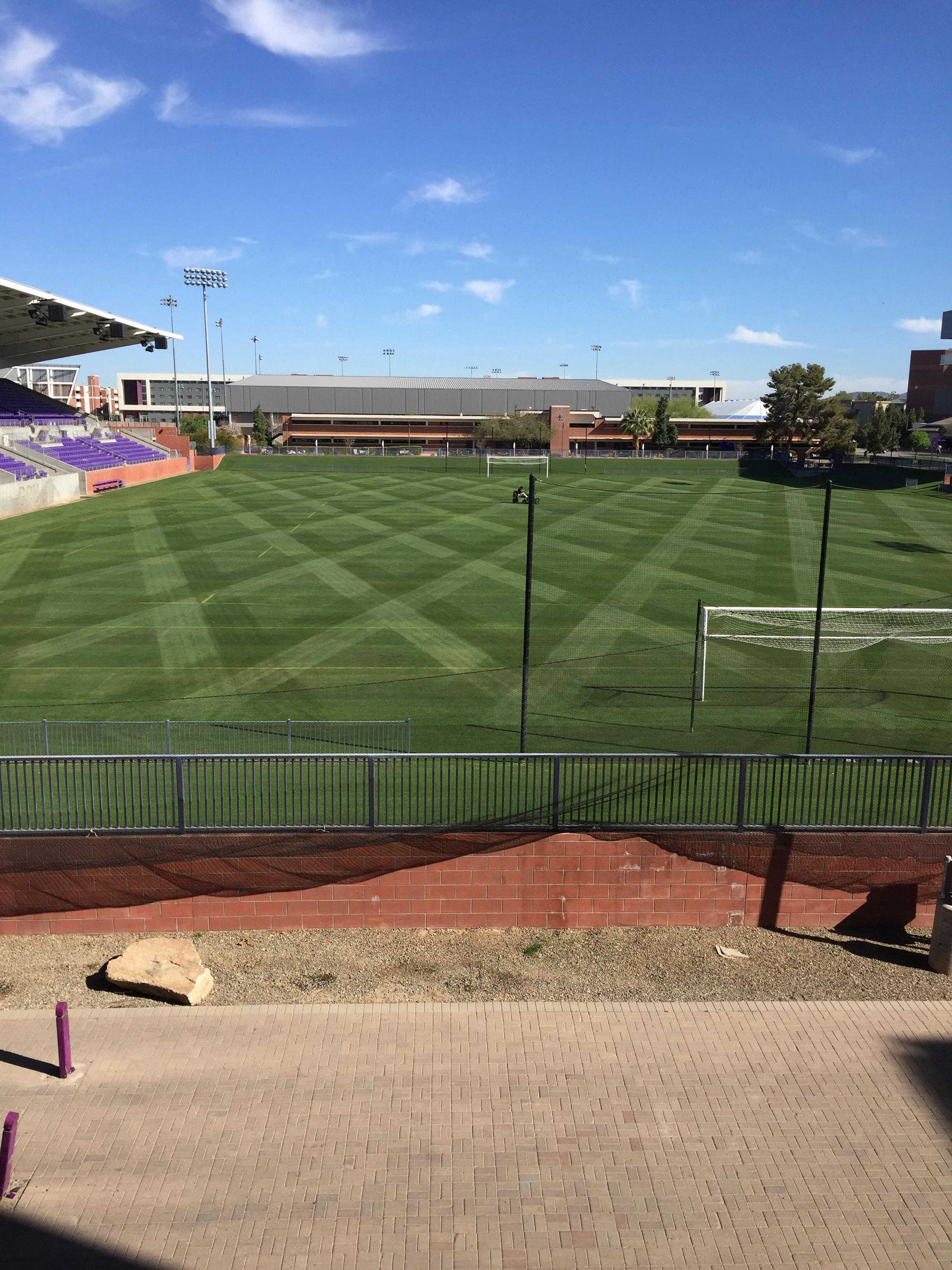 This freshly cut grass on my college campus. r/oddlysatisfying