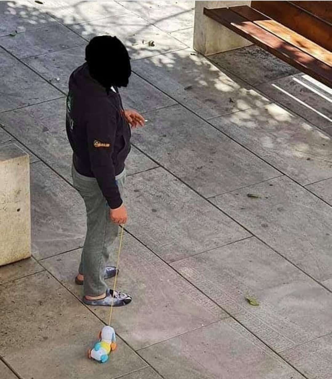 YOu caN Walk yOuR doG duRinG QuaRanTinE r/pics