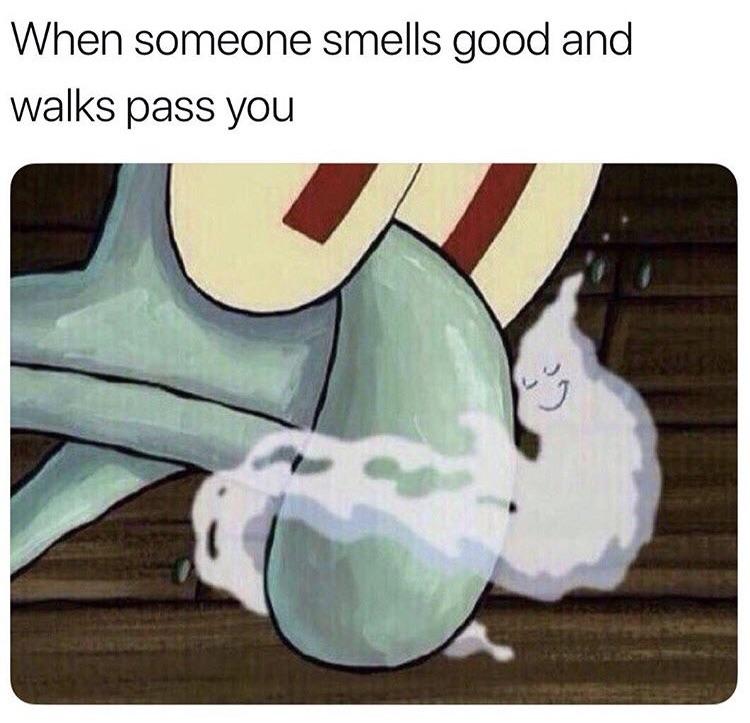 Is it just me or only beautiful girls smell nice? r/BikiniBottomTwitter