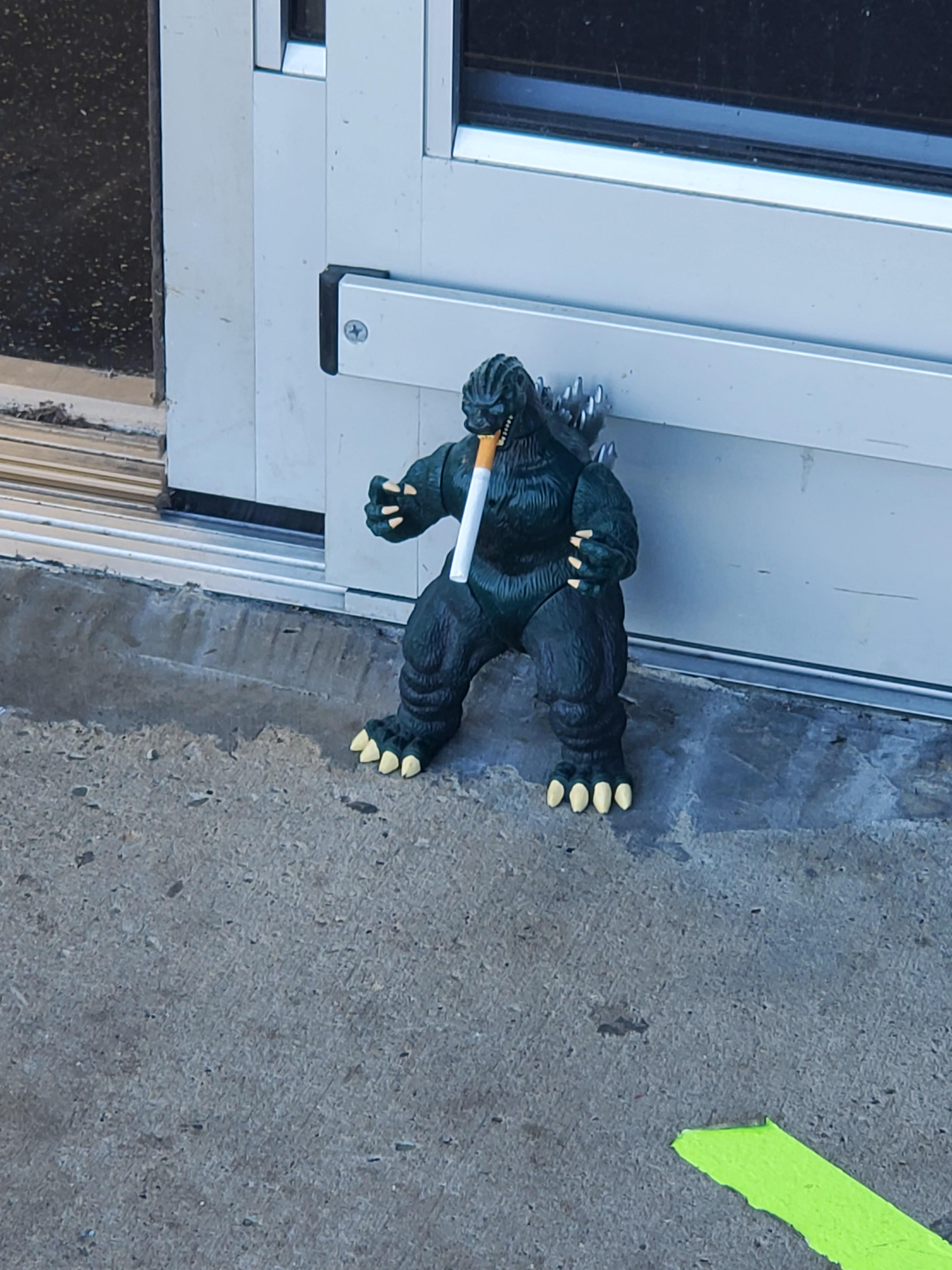 Meet the new door greeter r/walmart