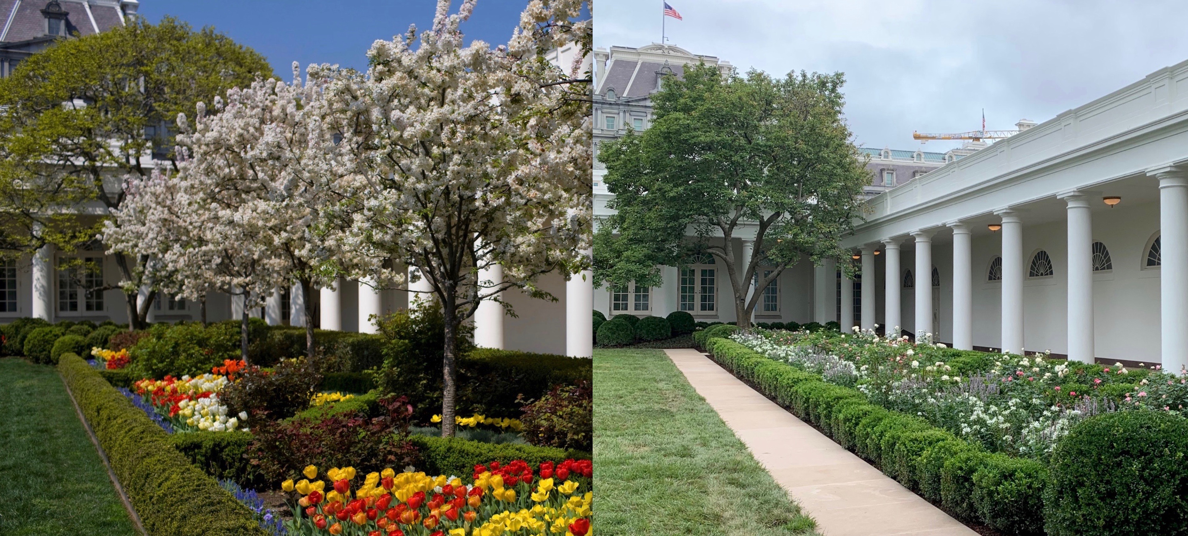 A before and after image of Melania Trump's renovation to the White
