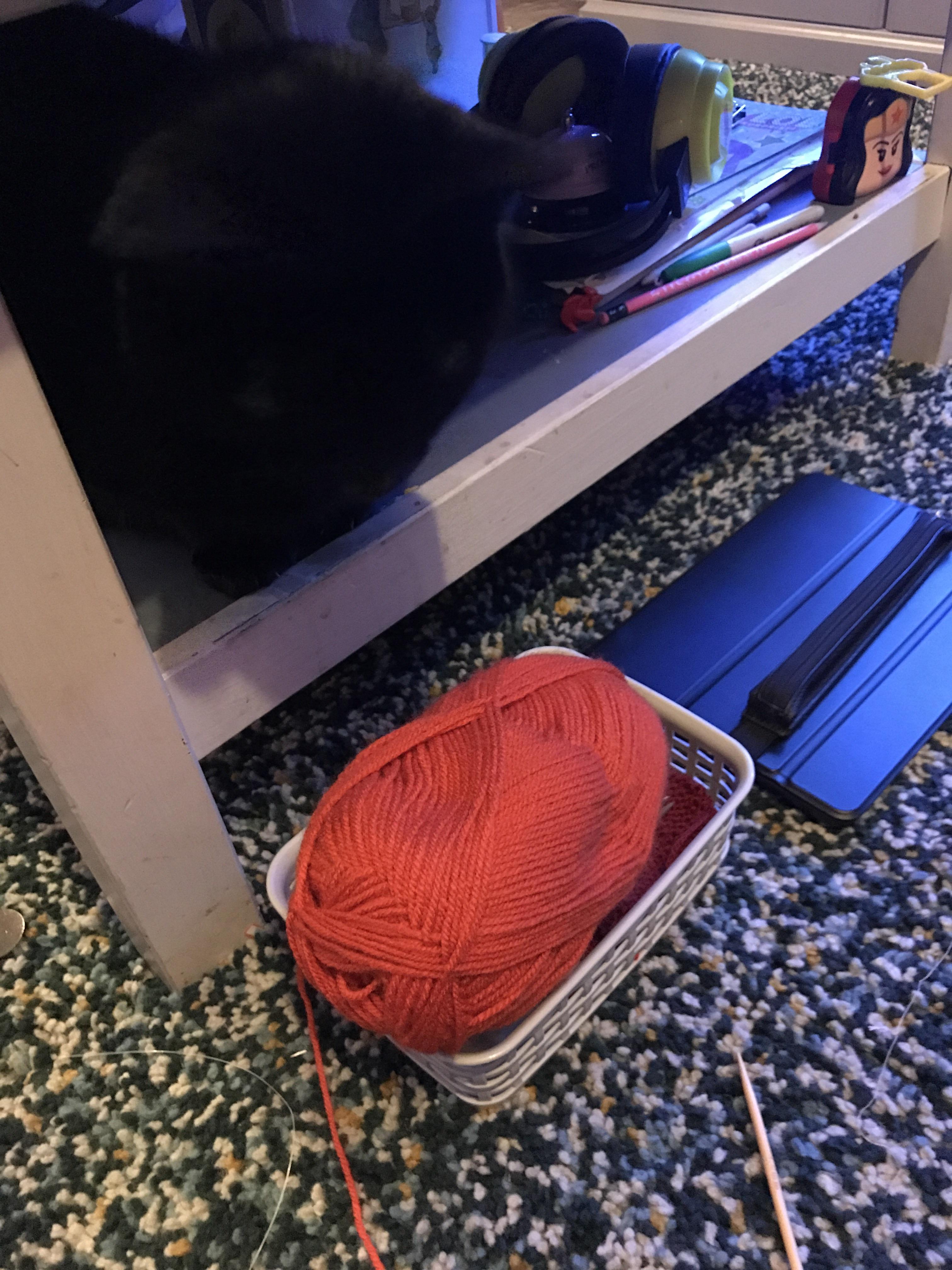 Cats and yarn r/casualknitting