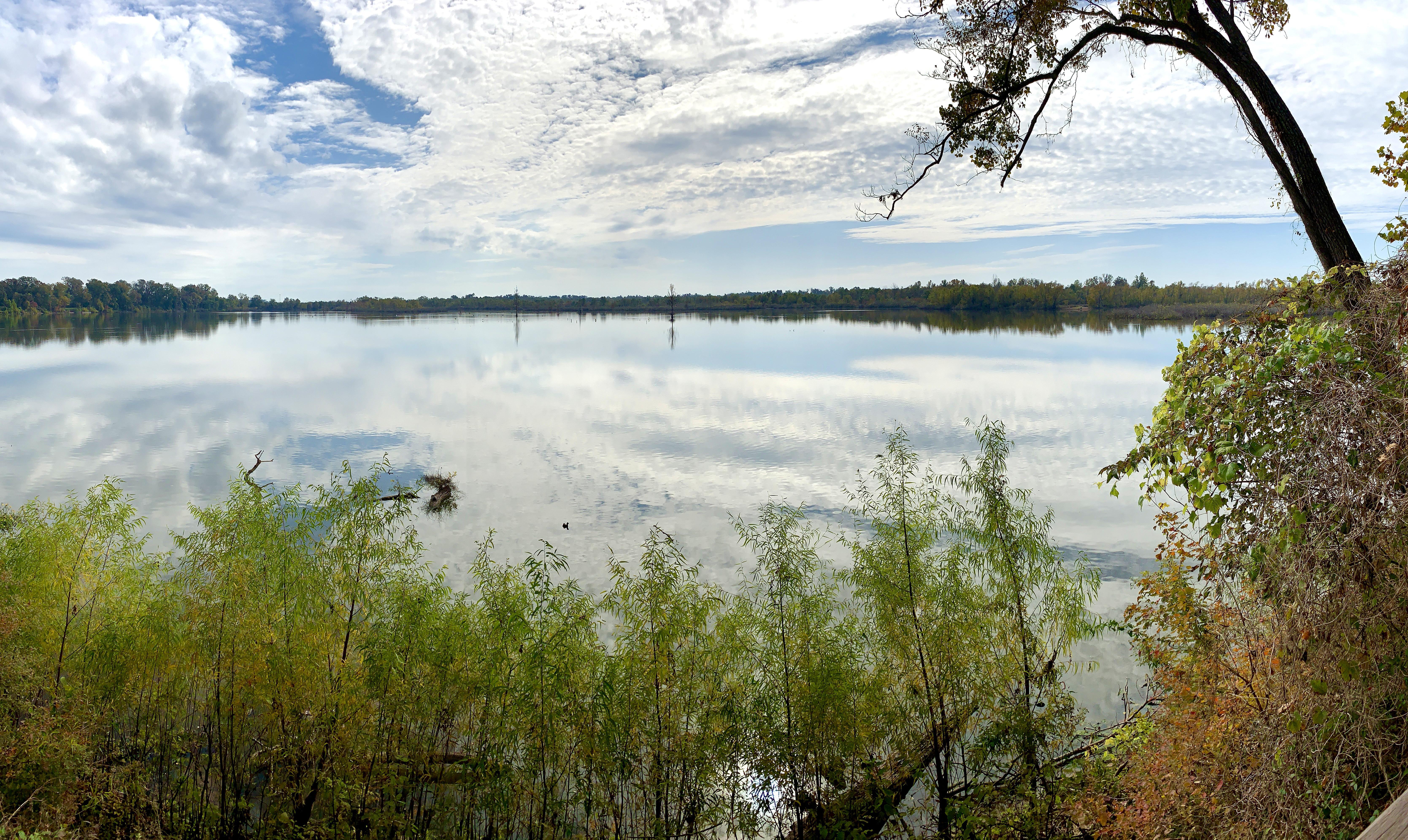 Lake Caroline in the Red River National Wildlife Refuge this morning