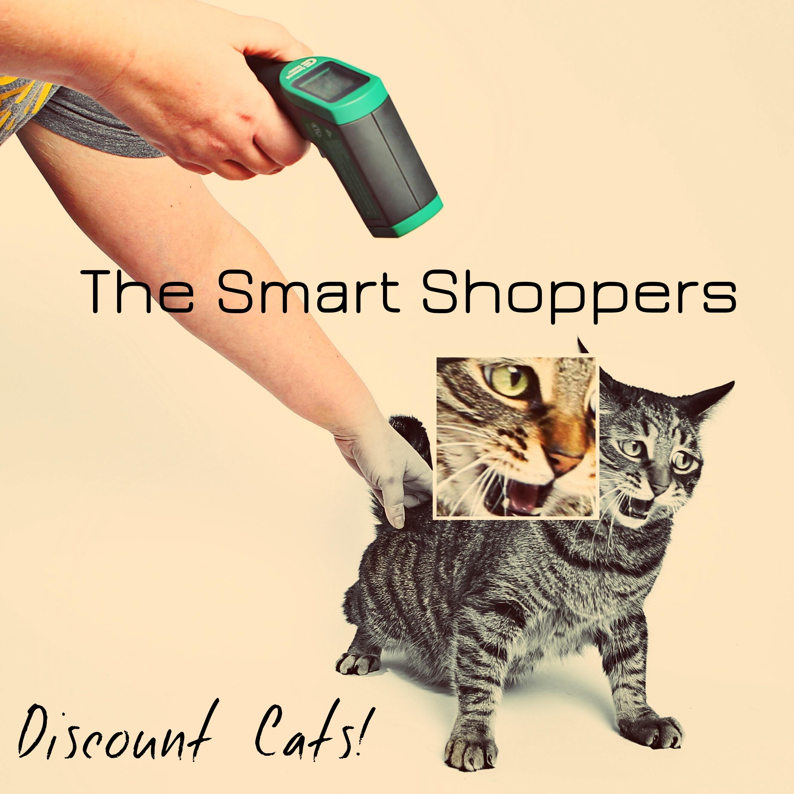 The Smart Shoppers Discount Cats! r/fakealbumcovers