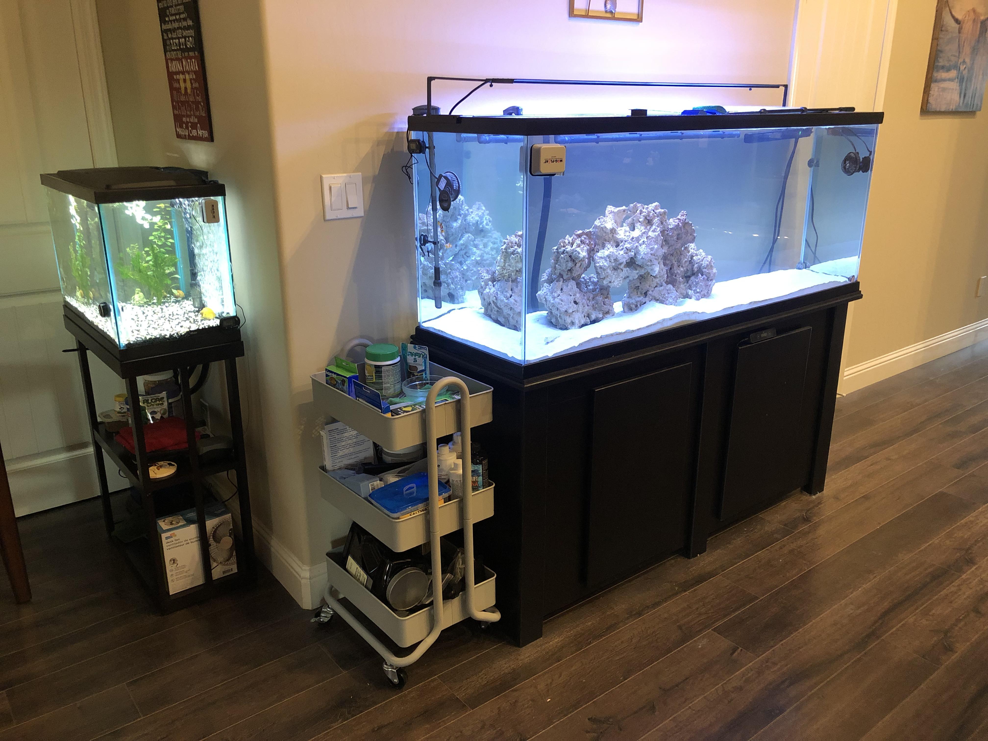 My Wife’s and My setup. 100 gallon Saltwater and her Freshwater 20