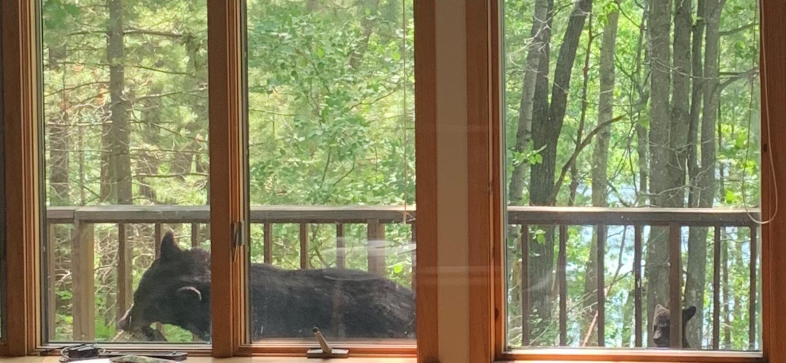 287 best Gaylord images on Pholder Michigan, Golf and Amazon FC