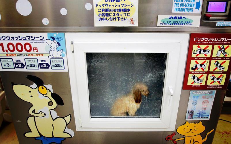 Japanese washing machine for dogs r/dogpictures