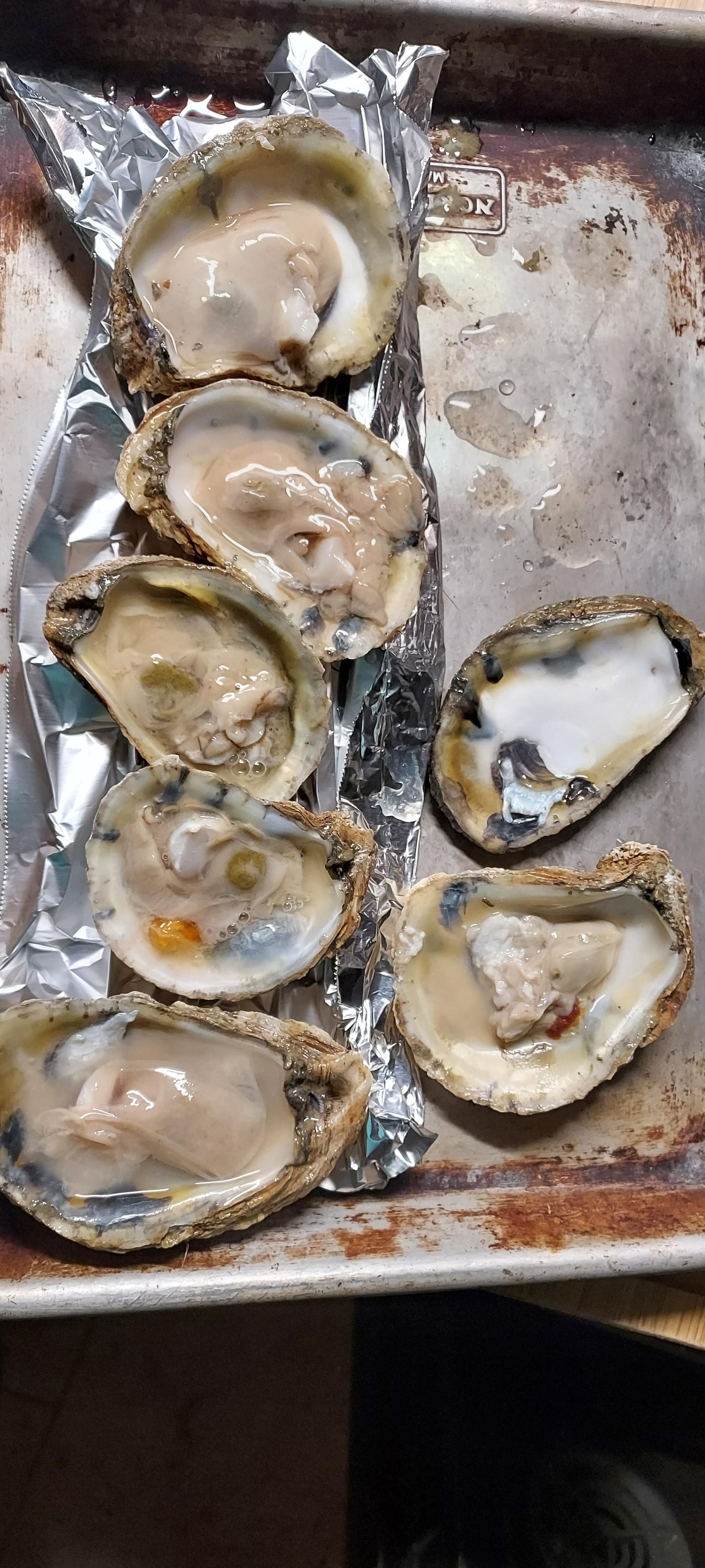 Are these oysters okay? r/KitchenConfidential