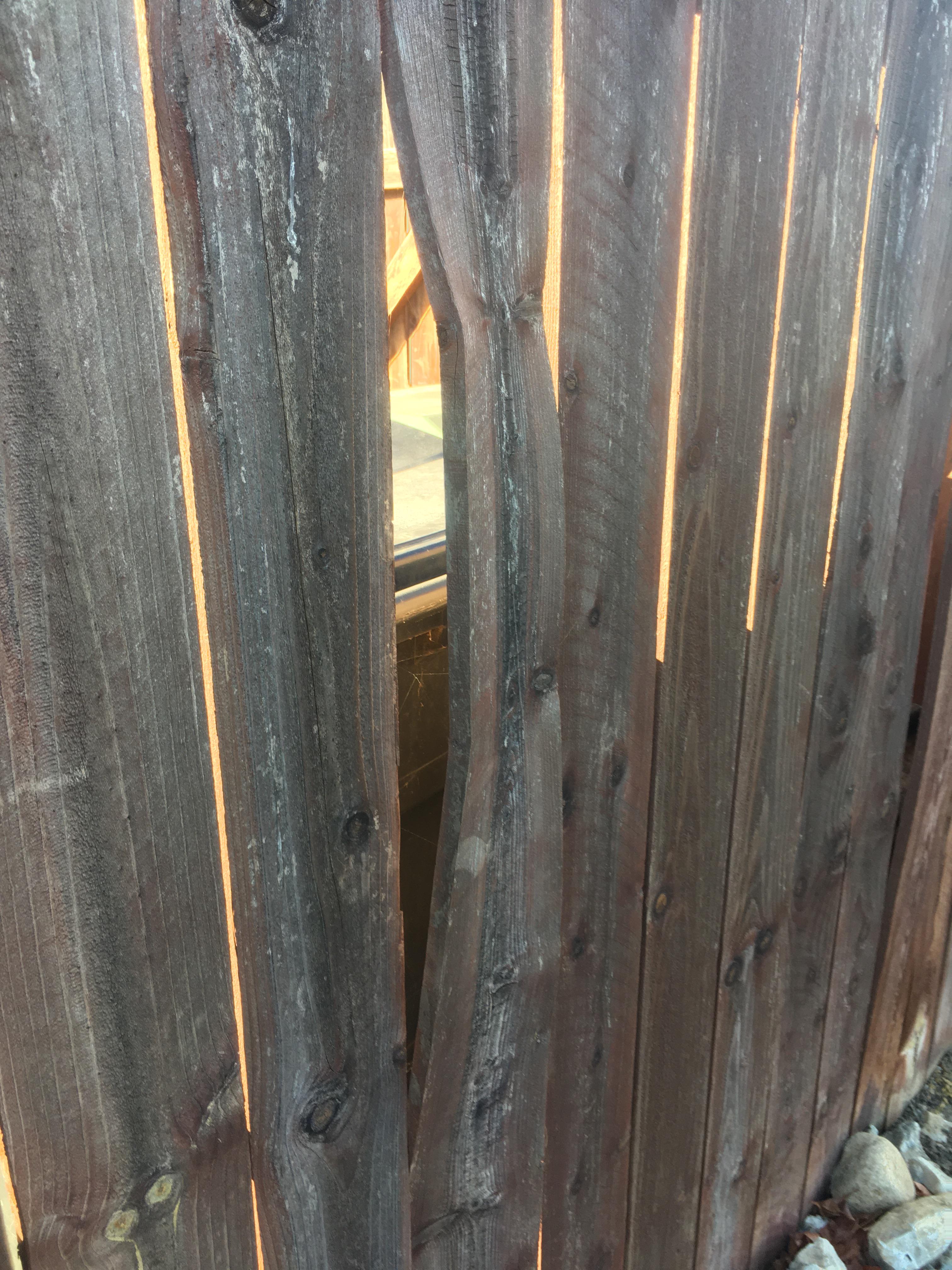 My neighbors put up a new fence and uhhhh r/onejob