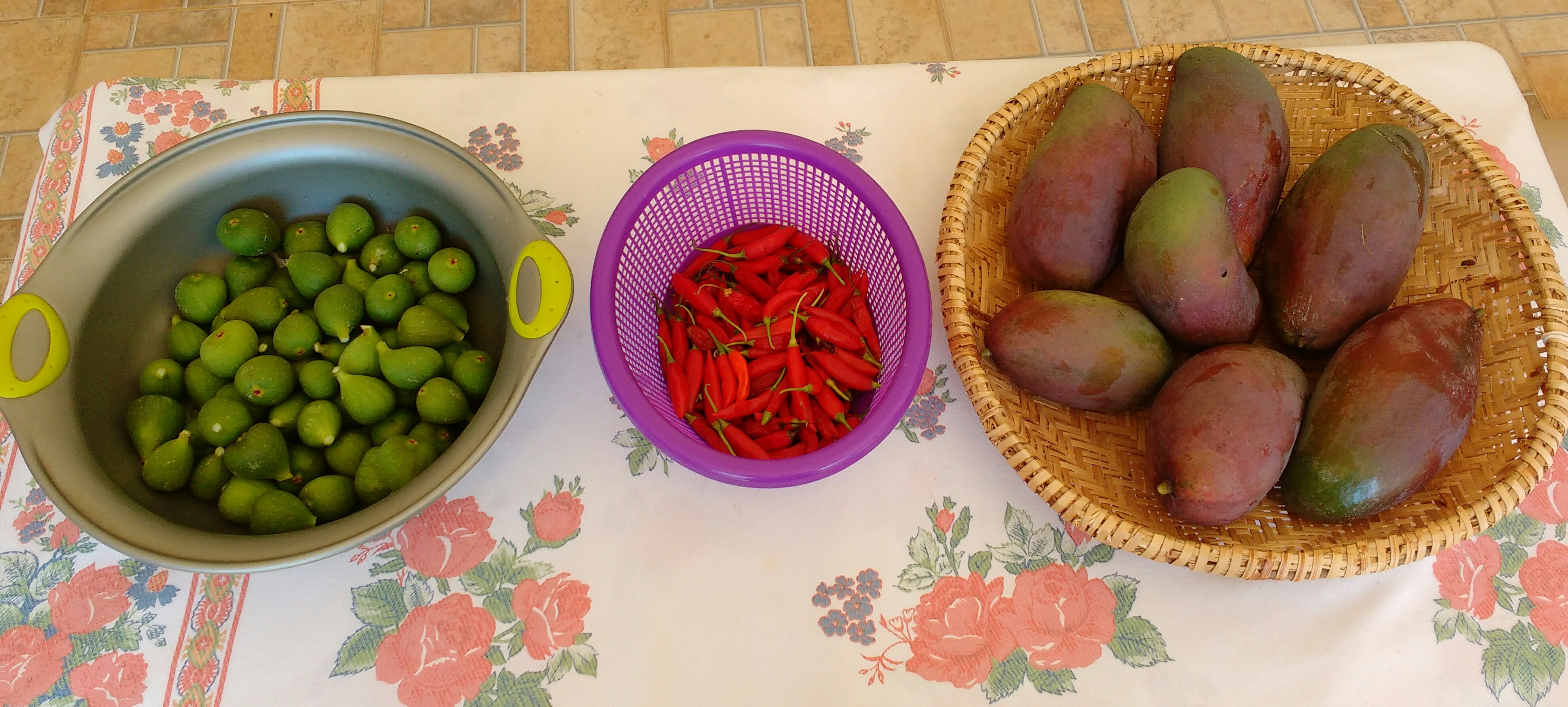 Harvesting. Green figs for some homemade preserve, hot chillies for