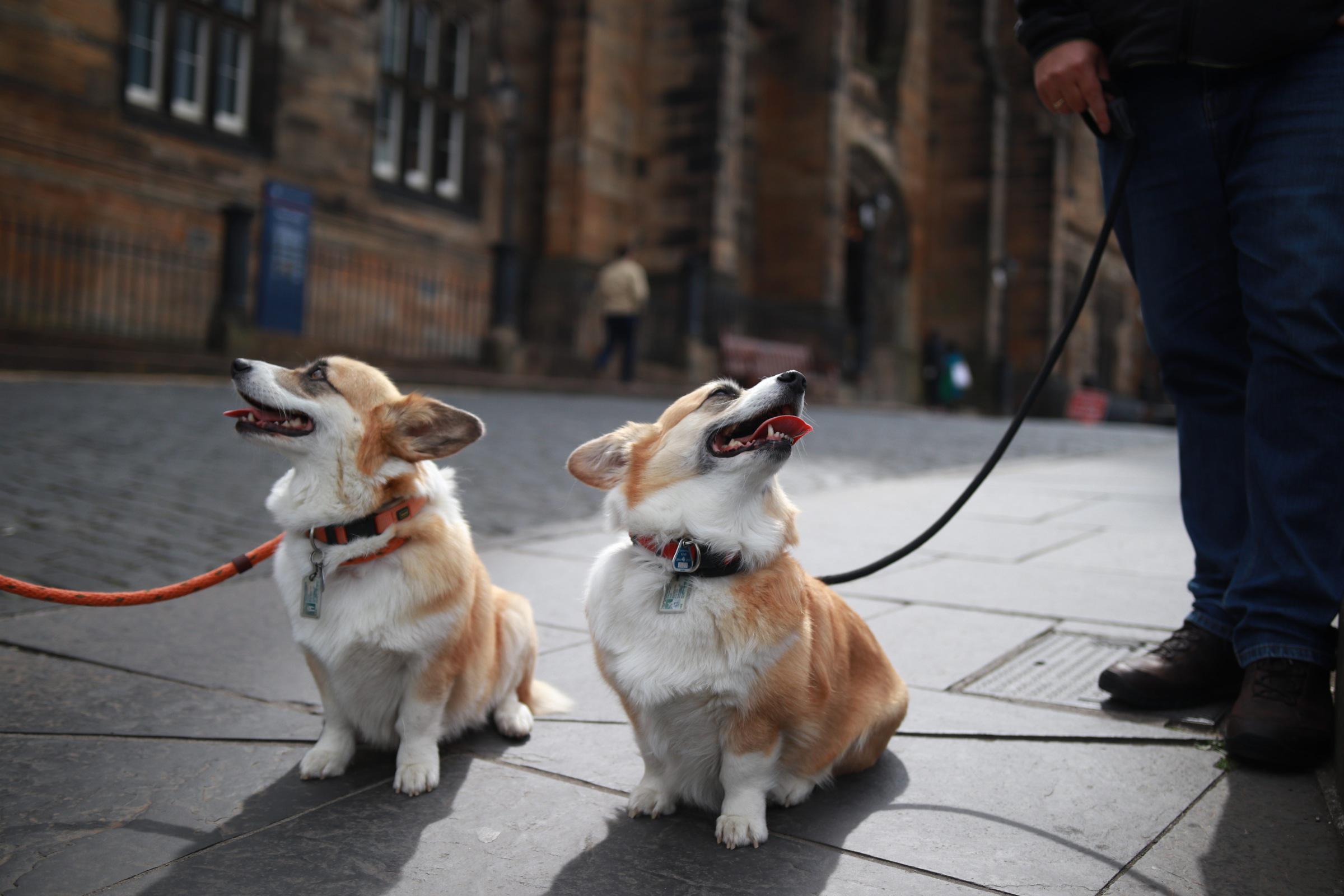 (OC) Thanks to these kind strangers for letting me take pictures of