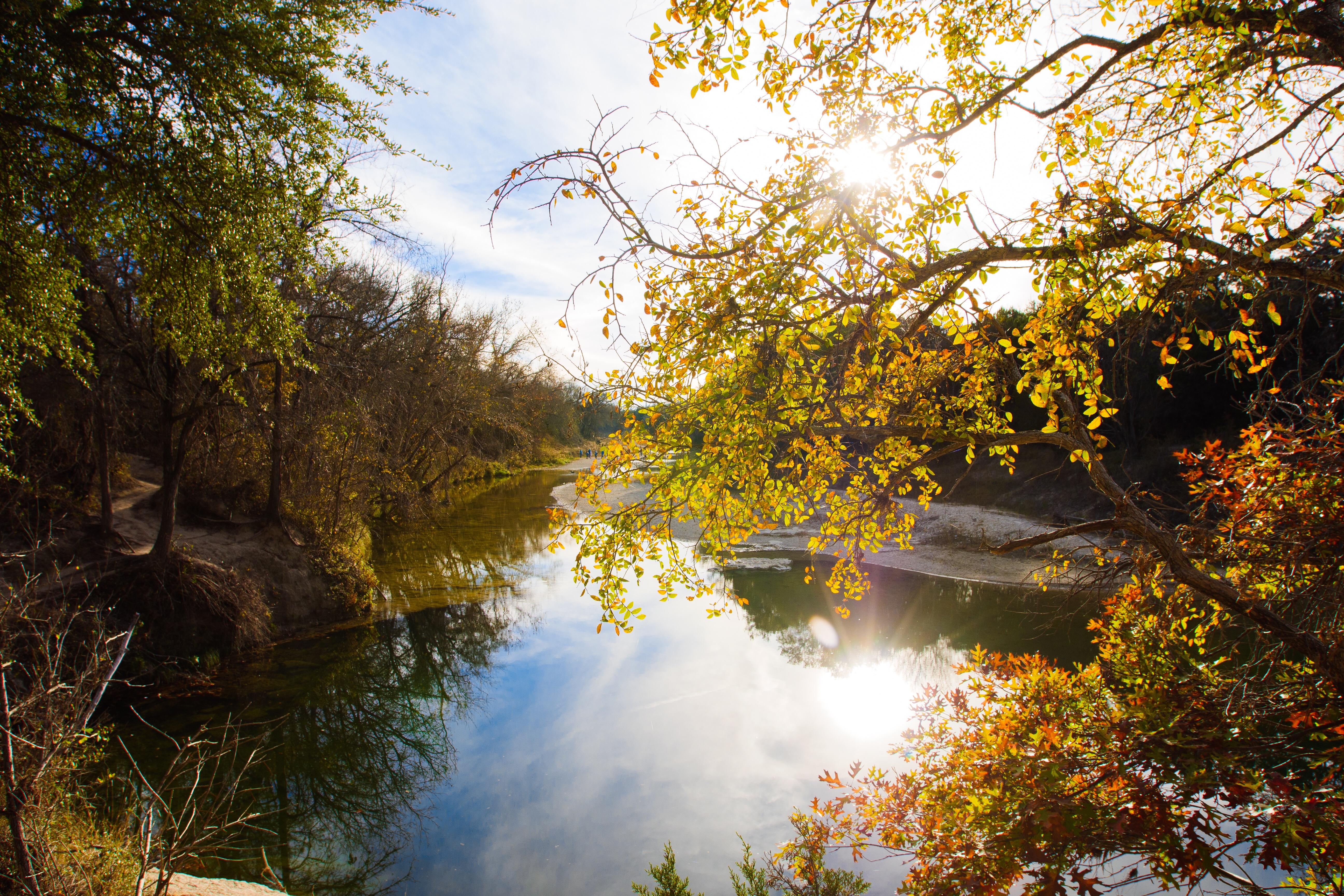 Great fall colors on the Paluxy River in Texas this year! [OC