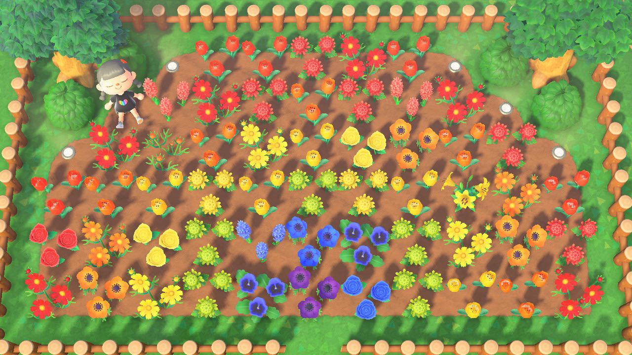 Before Pride Month ends, I'd like to share with yall my rainbow flower