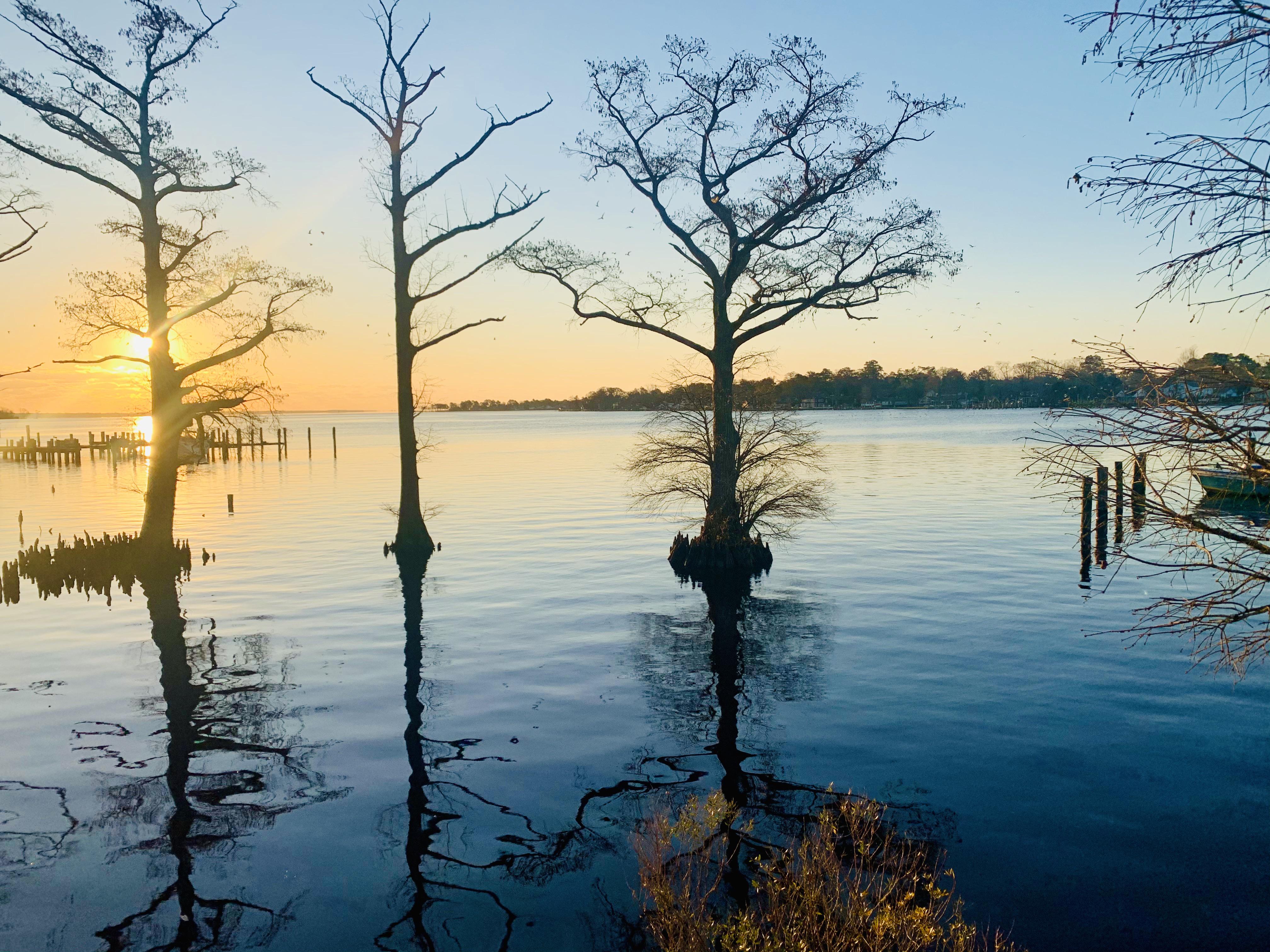 Winter Sunrise on the Pasquotank River in Elizabeth City r/NorthCarolina