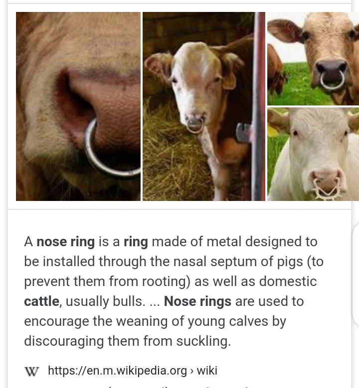 Do you know why cows have nose rings? r/vegan