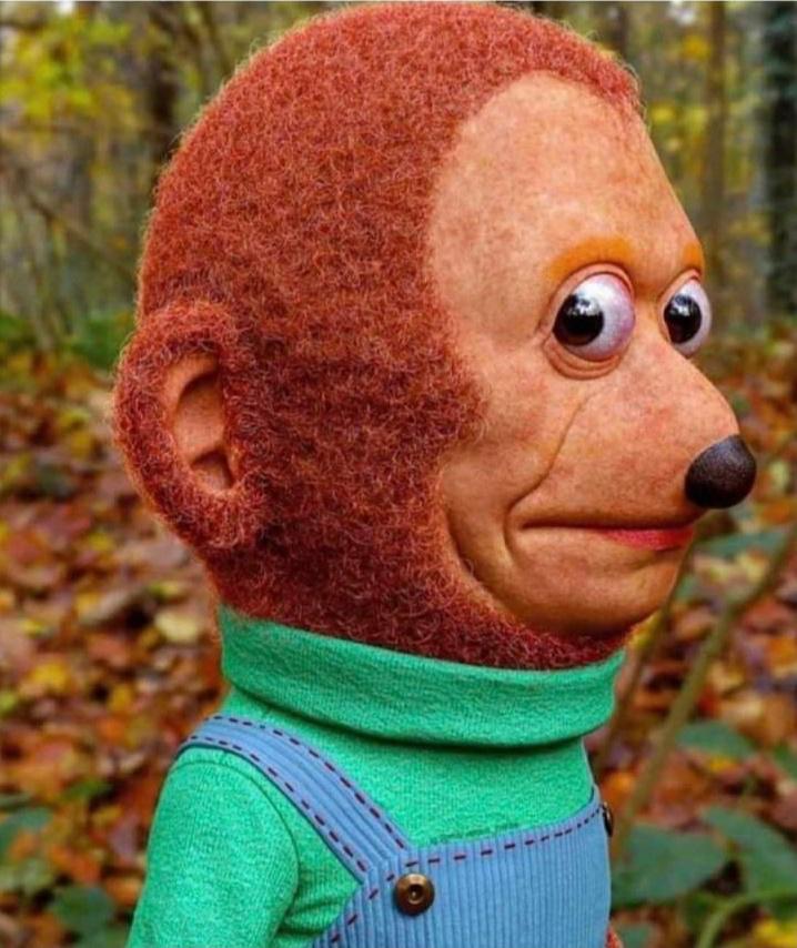 This realistic monkey puppet, from the monkey puppet meme r