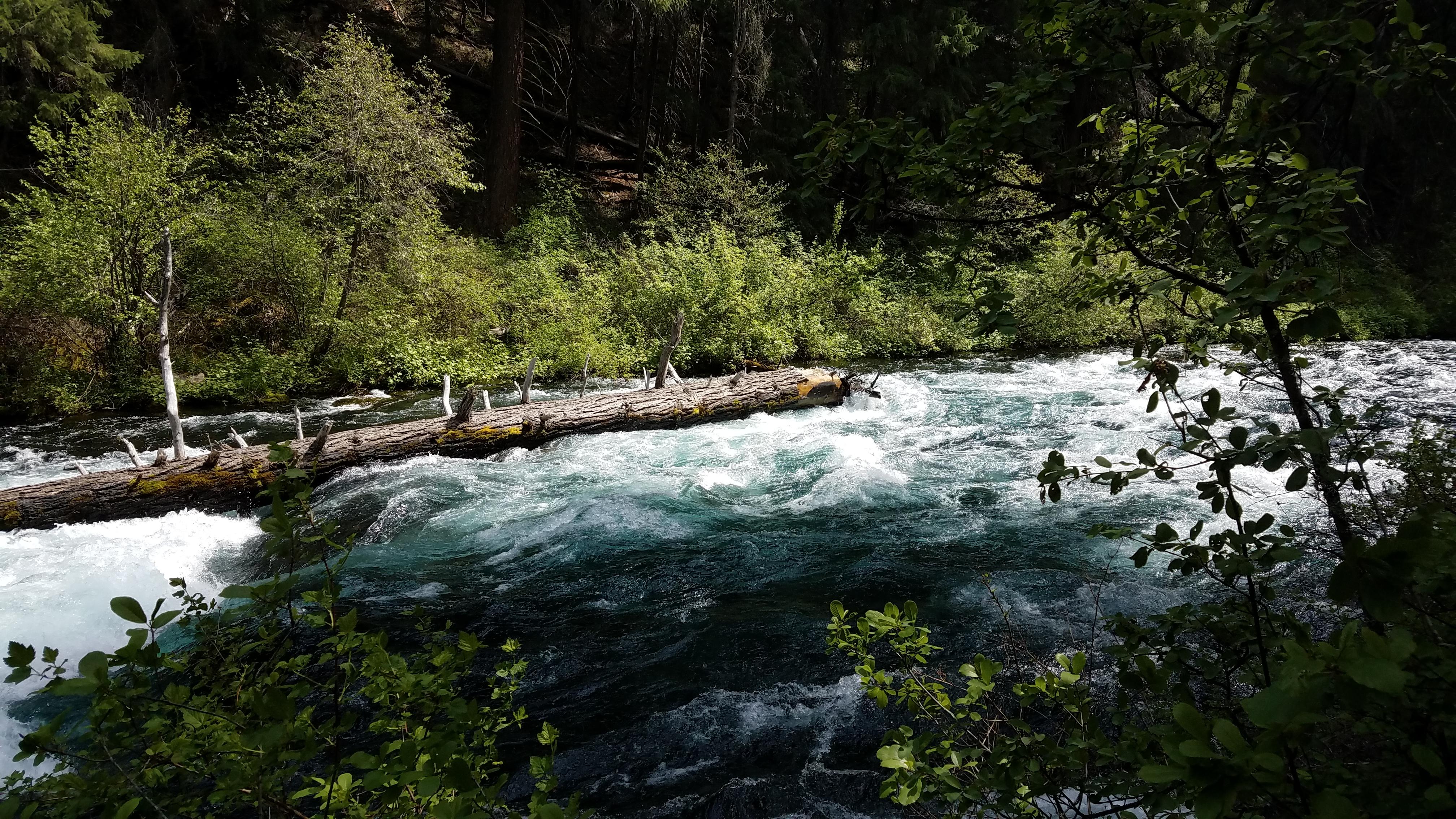 Metolius River, Oregon [OC] [4032x2268] r/EarthPorn