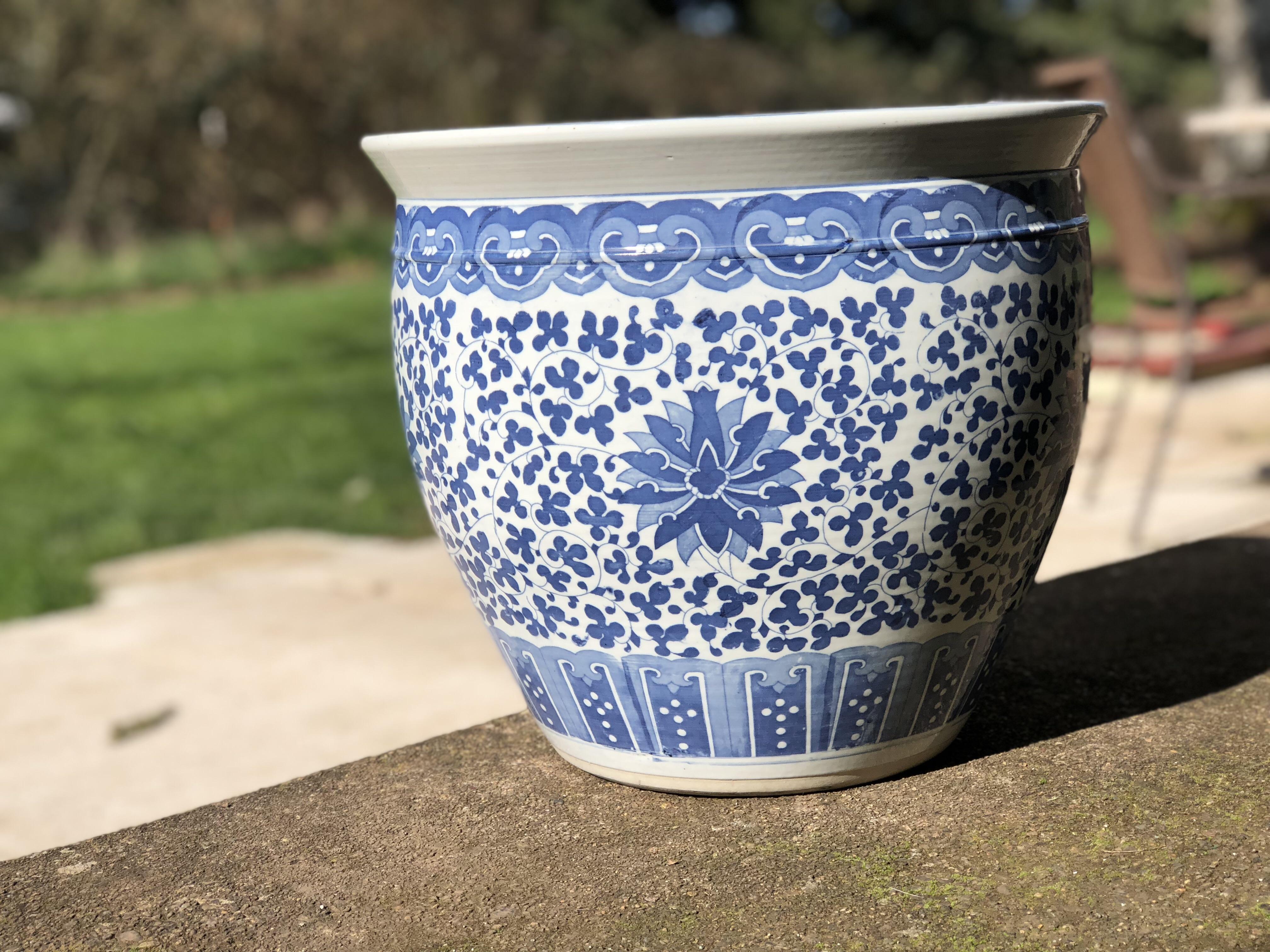 My holy Grail 10 ceramic blue and white planter, and it's a big one