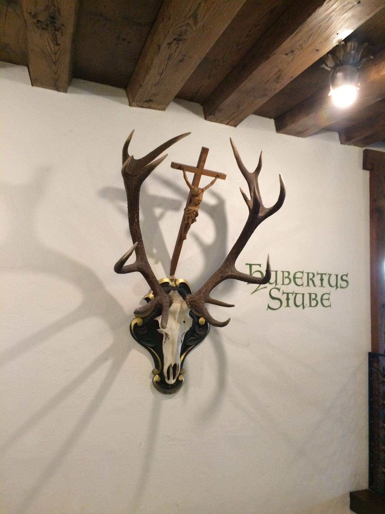 This German taxidermy in Munich. Not sure about the look they were