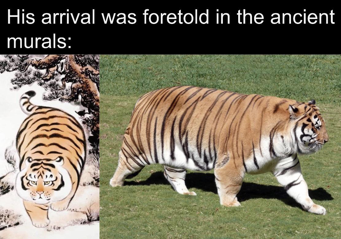 Saw this on r/memes the tiger that tiger king made LoverFella