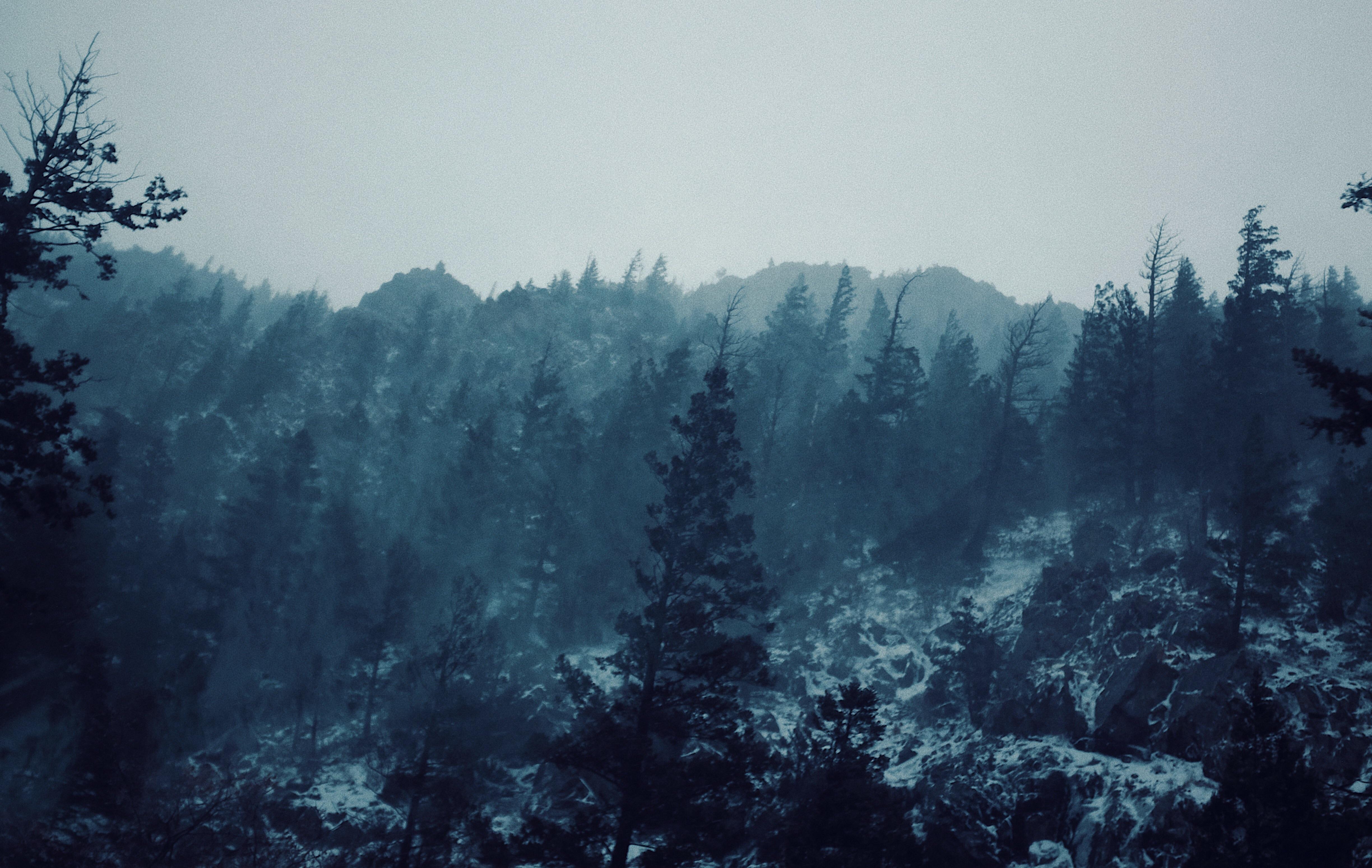 (OC) Snowfall Eagles Nest, NM r/MostBeautiful