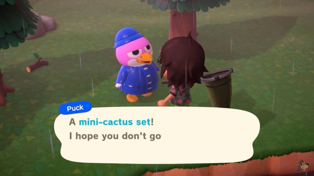 Puck Looks So Weird Without His Hockey Helmet. He’s Like A Whole