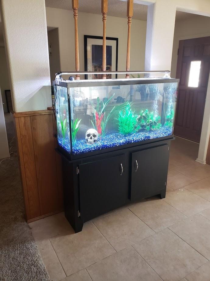 Fish Tank Stand Ideas r/woodworking
