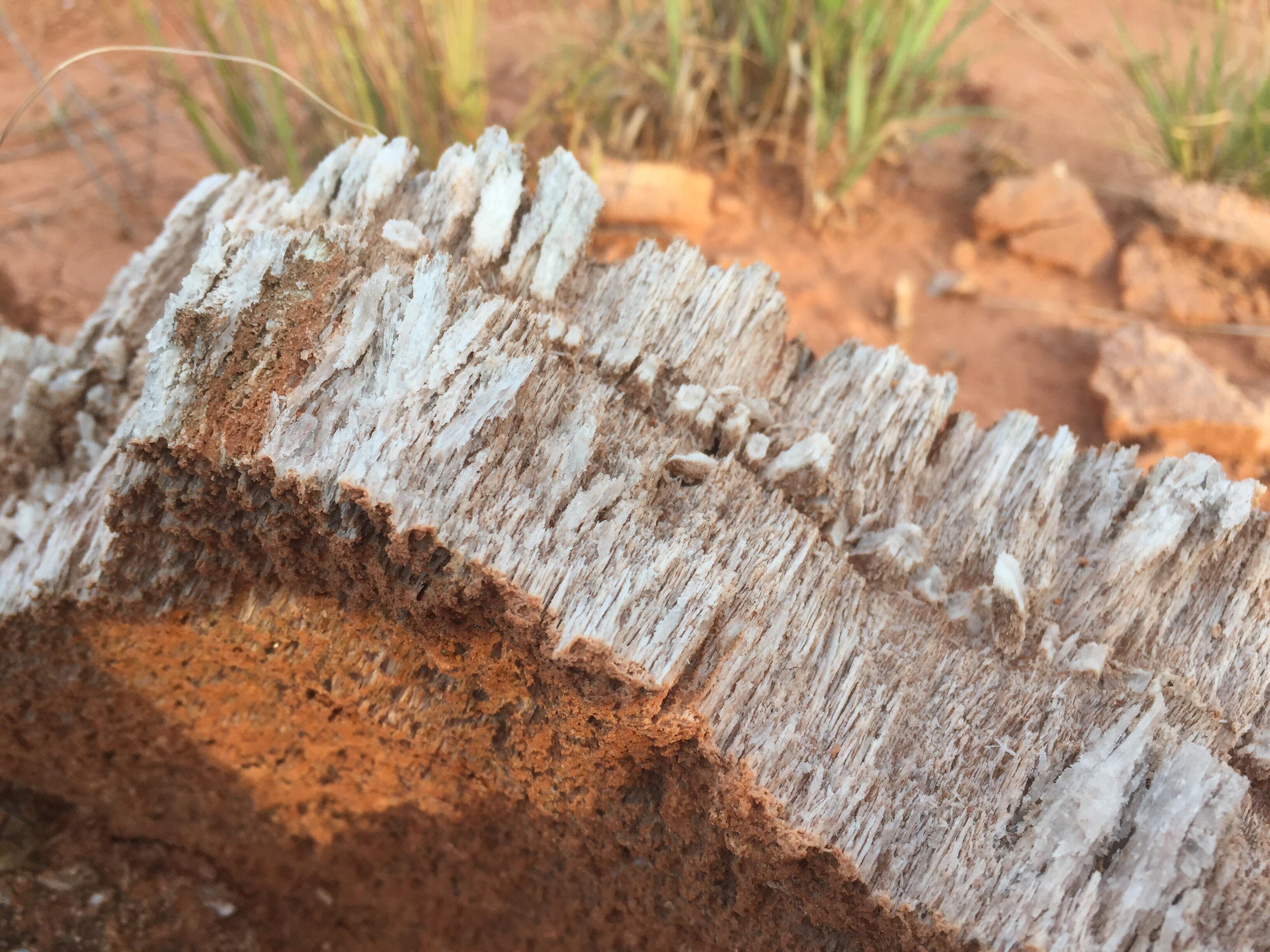 Permian gypsum deposits in Caprock Canyons, TX r/geology