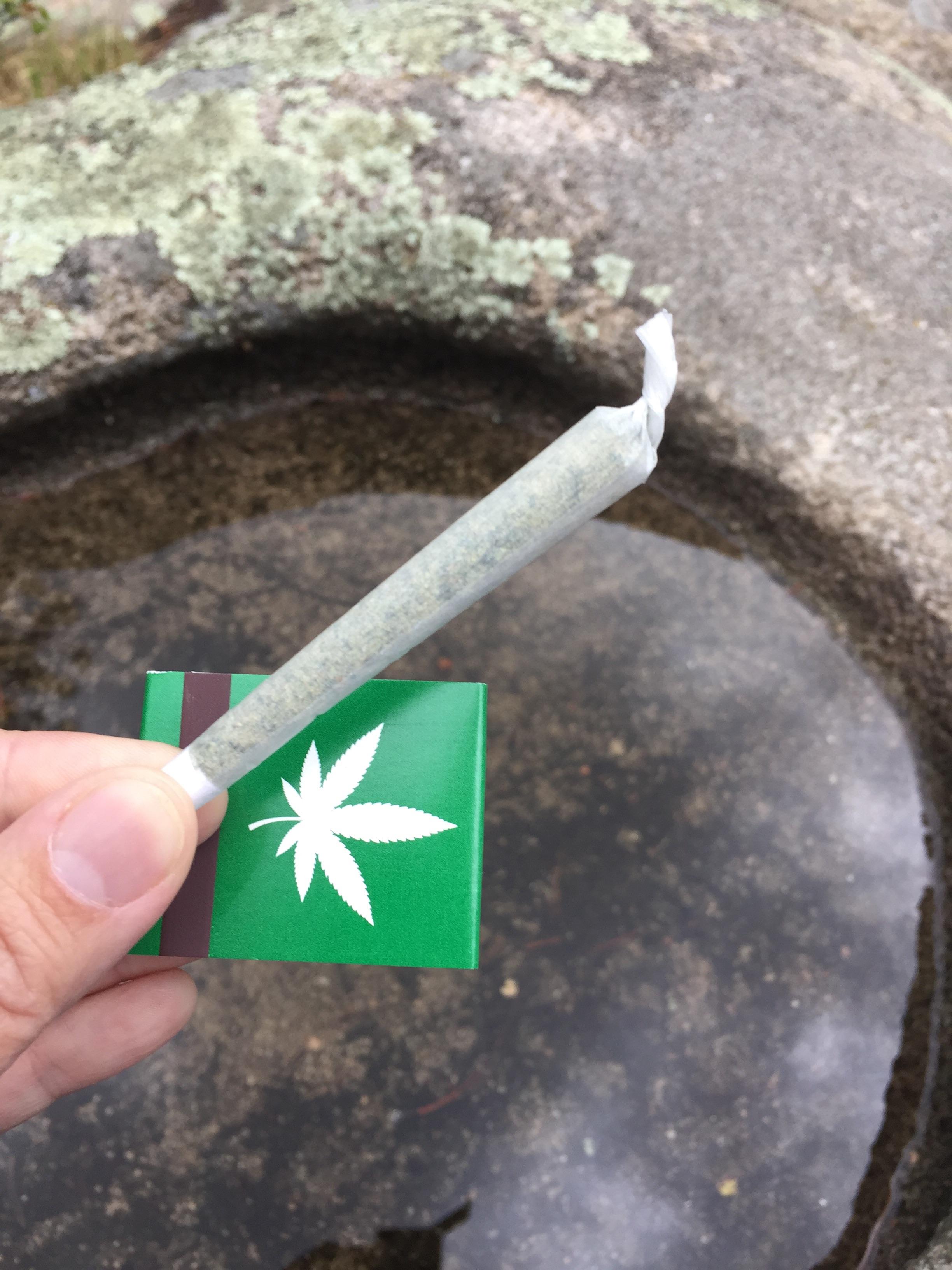 My first legal smoke in Colorado r/trees