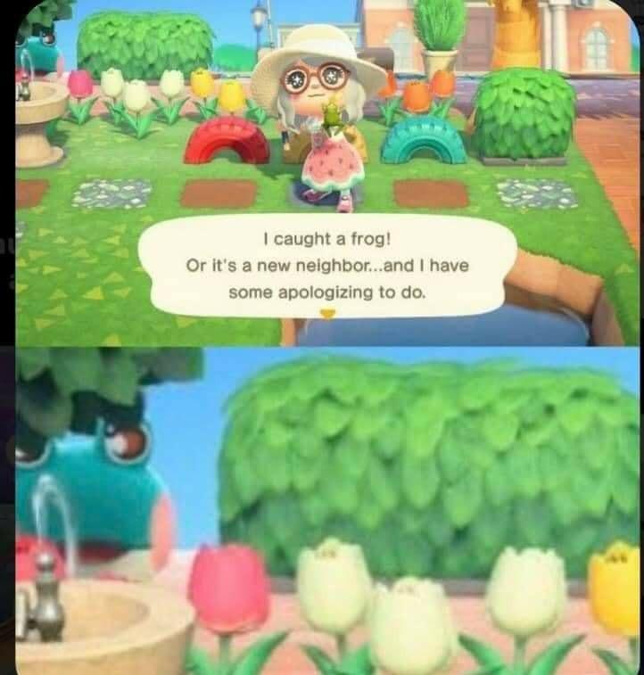 Just bad timing r/AnimalCrossing
