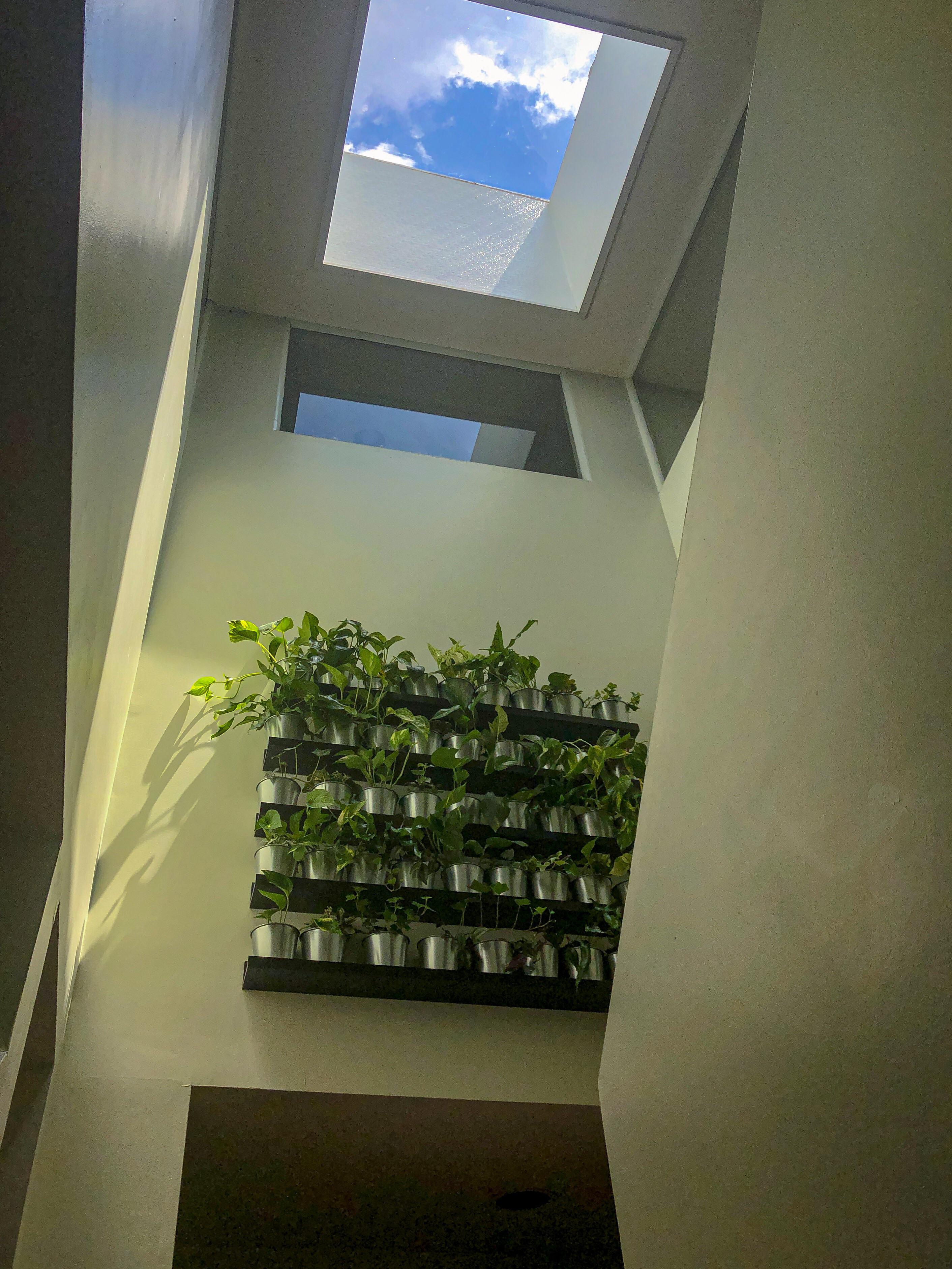 Just finished this plant wall to take advantage of the skylight in my