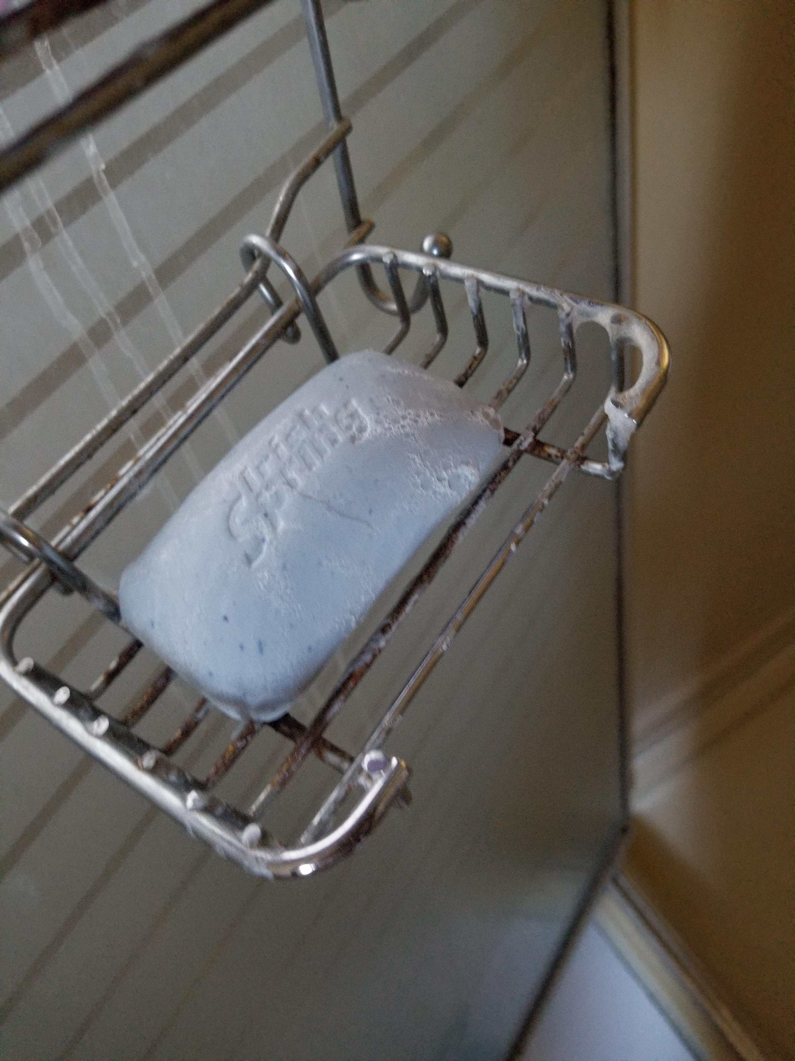 I've seen this everywhere. Why does anyone think soap dishes on shower racks should be open on