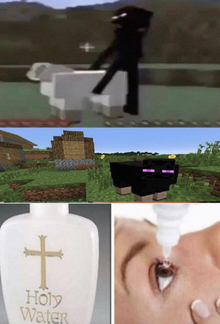 Enderman+sheep=cursed image r/memes