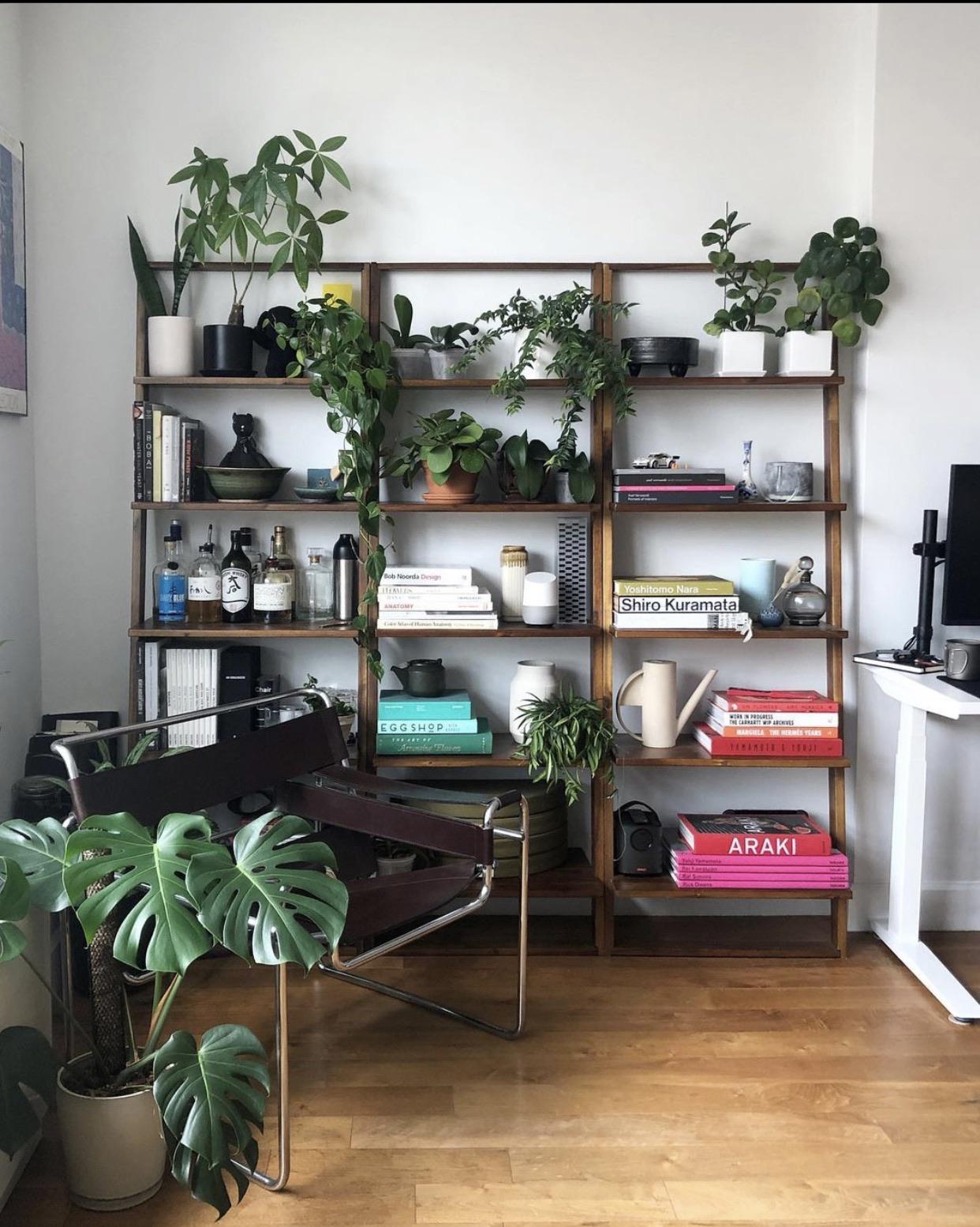 Library corner of the apartment r/CozyPlaces