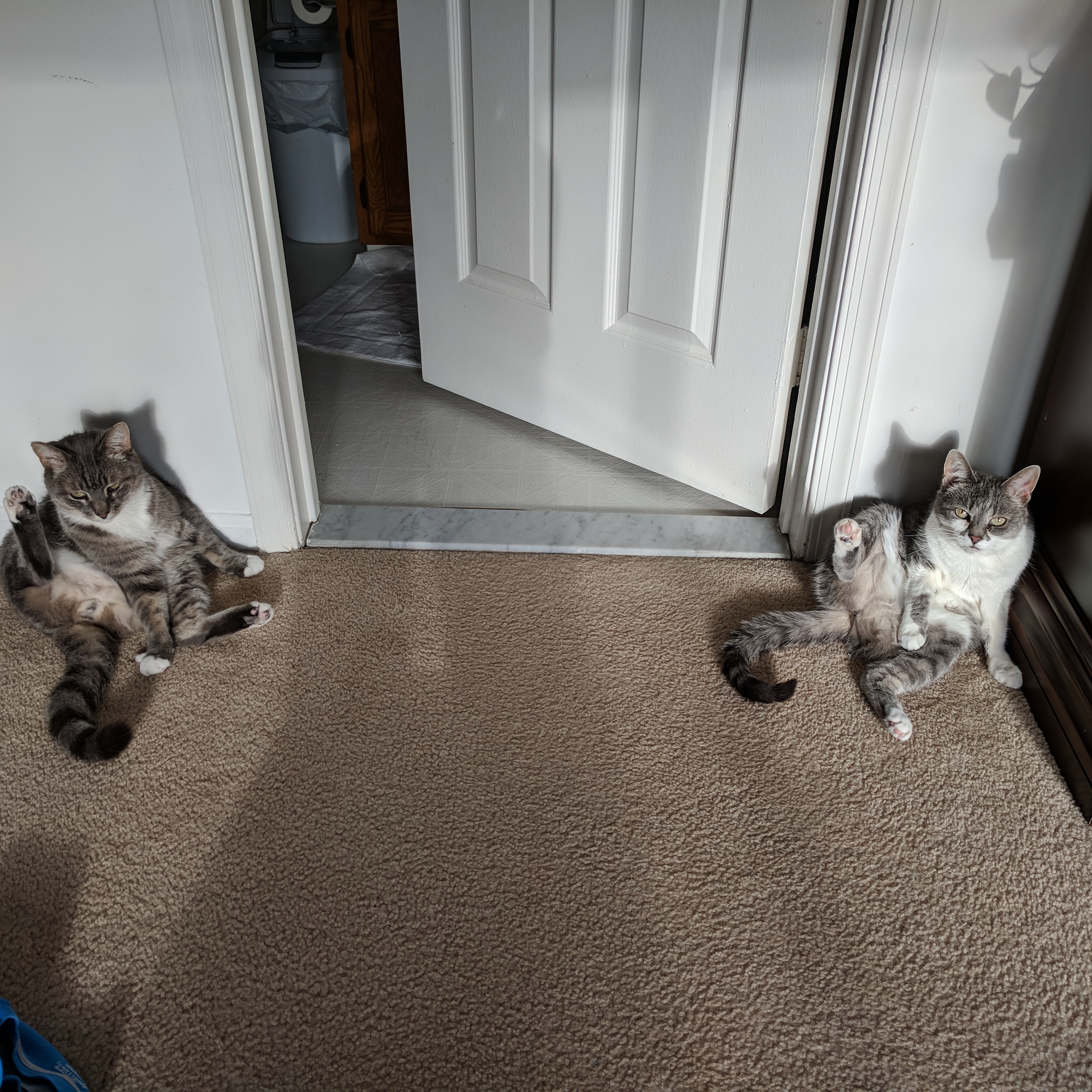 I think I have to answer a riddle before I'm allowed to enter the