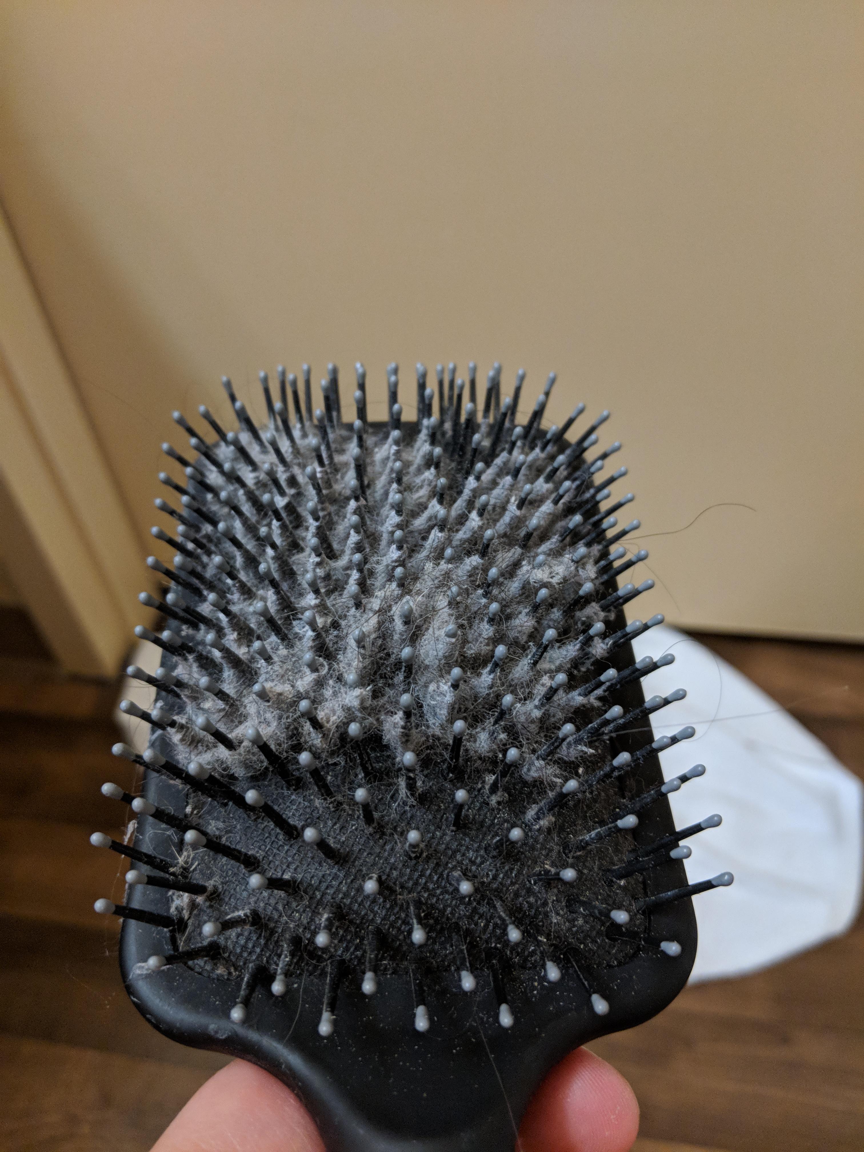 A partially clean hair brush r/oddlysatisfying