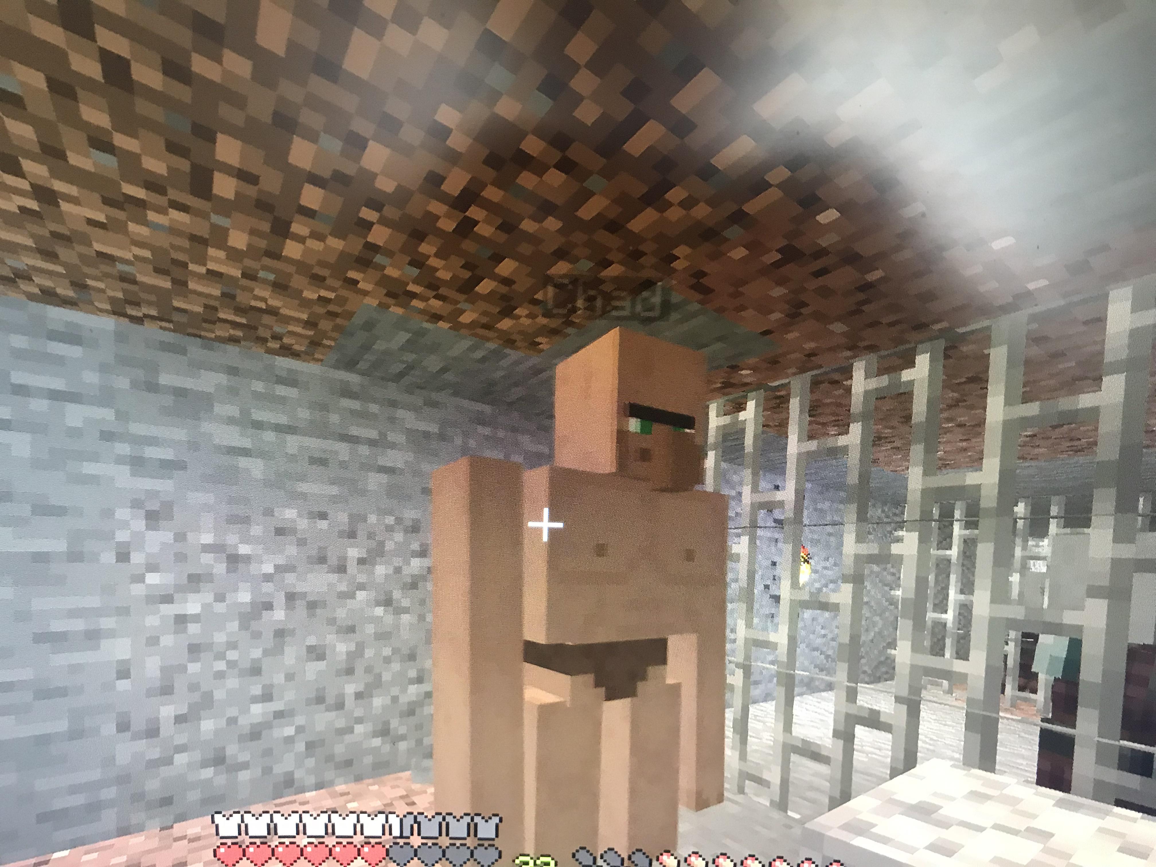 Minecraft chad chadsriseup