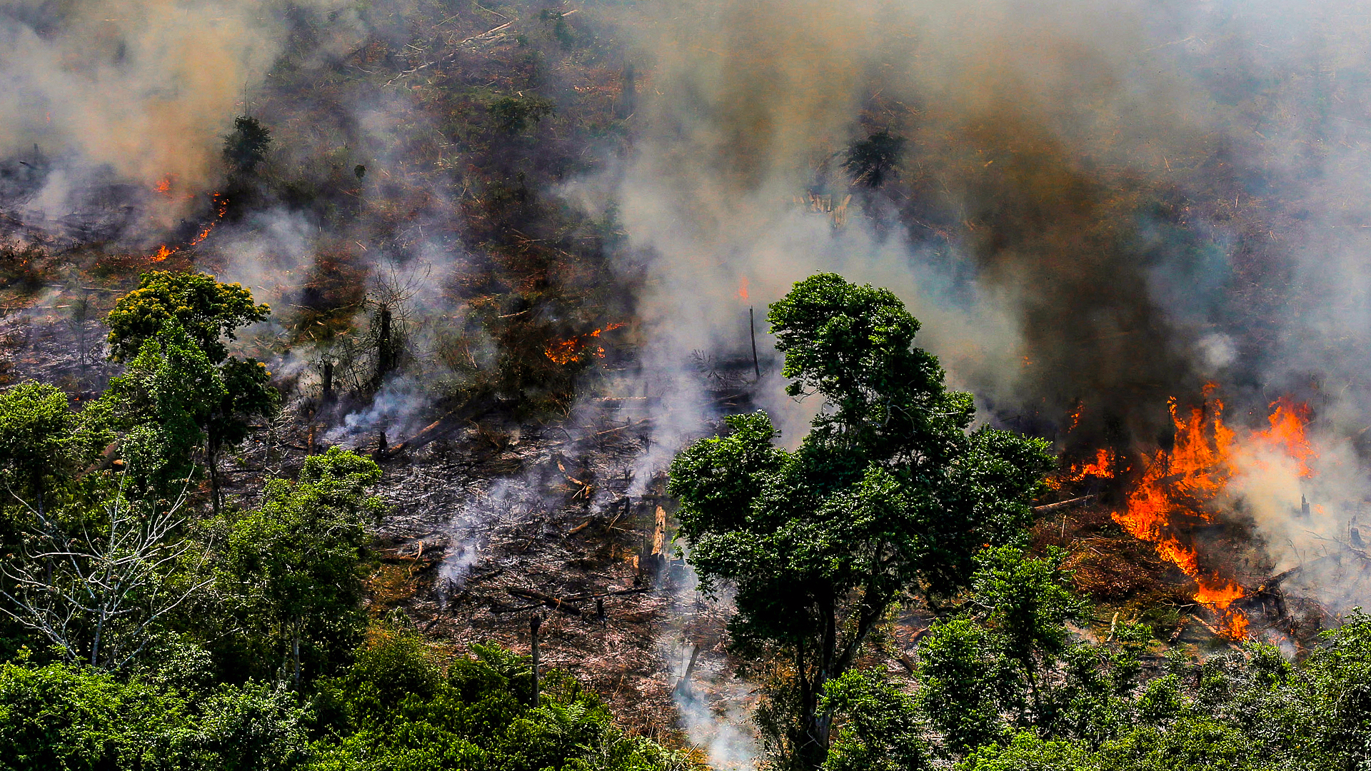 Brazil fight Amazon rainforest fires[1920×1080] r/wallpaper