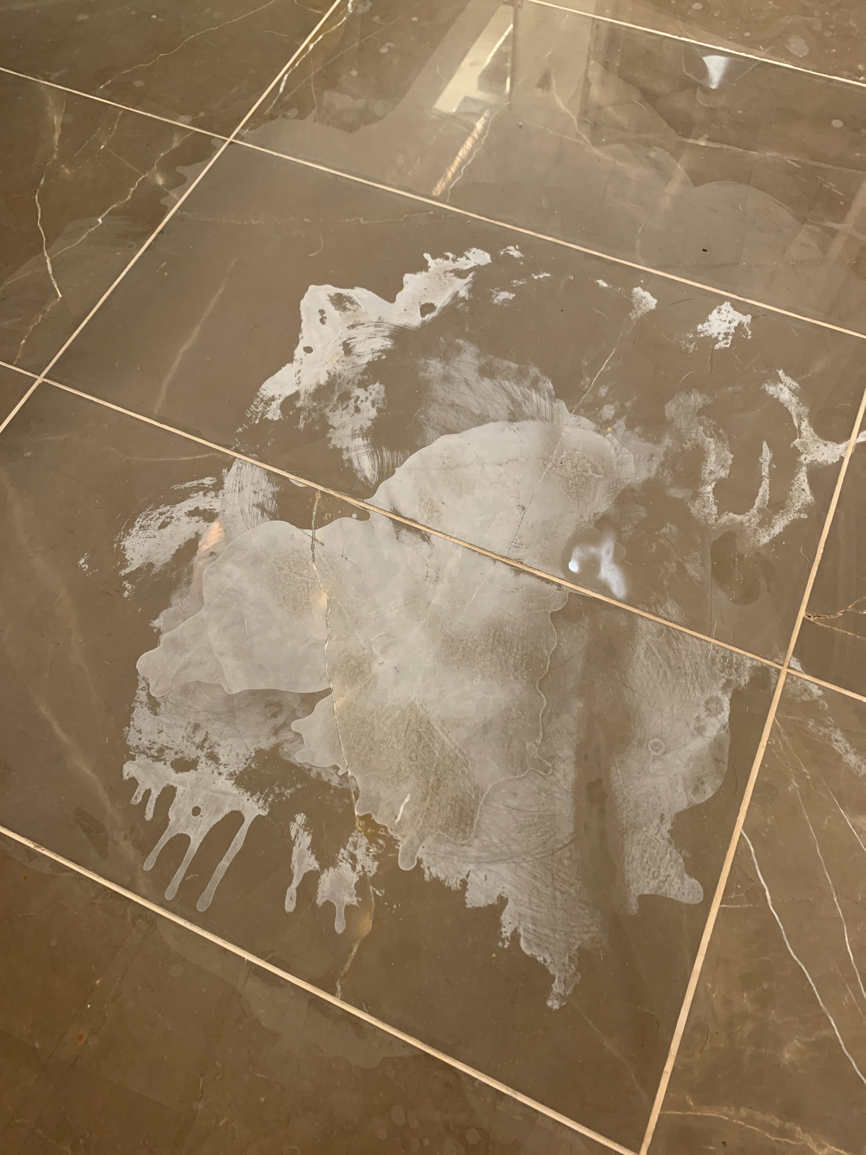 URGENT. How do I clean this?? I tried cleaning out my dog’s pee stain