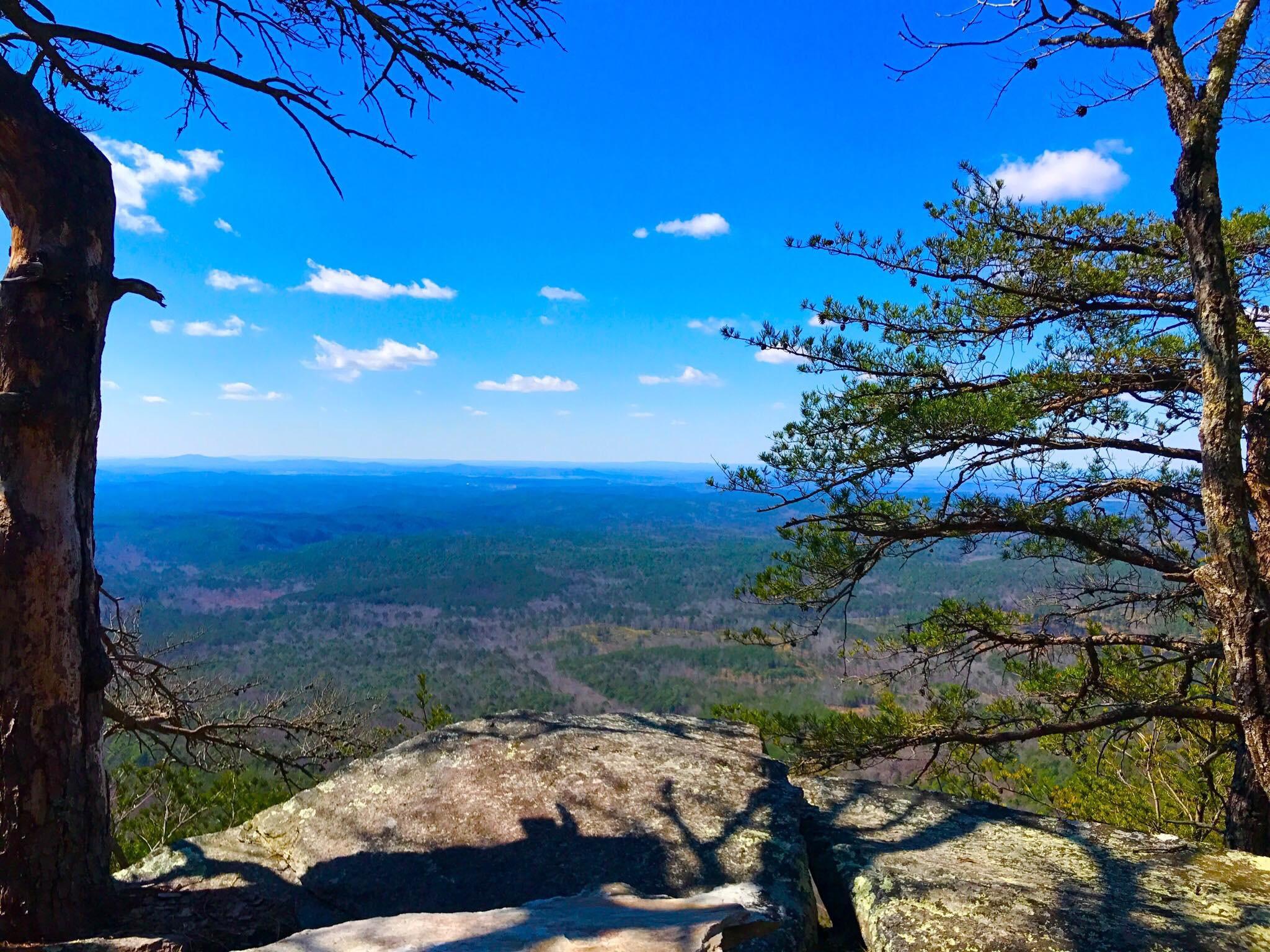 A beautiful view from the Pinhoti Trail, Mt Cheaha, Alabama, USA r/hiking