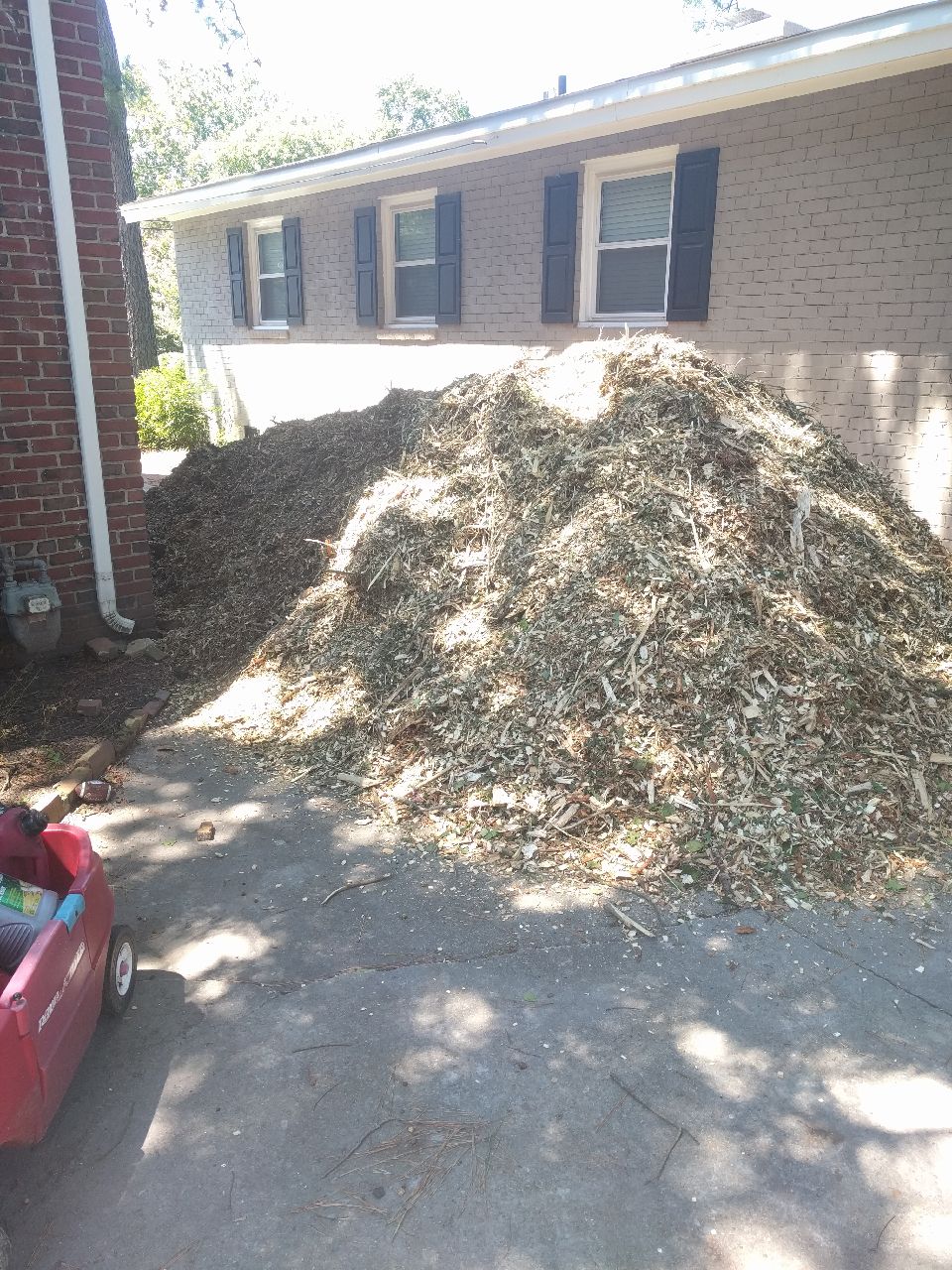 Free Bulk Mulch, contact me for pickup location. r/norfolk