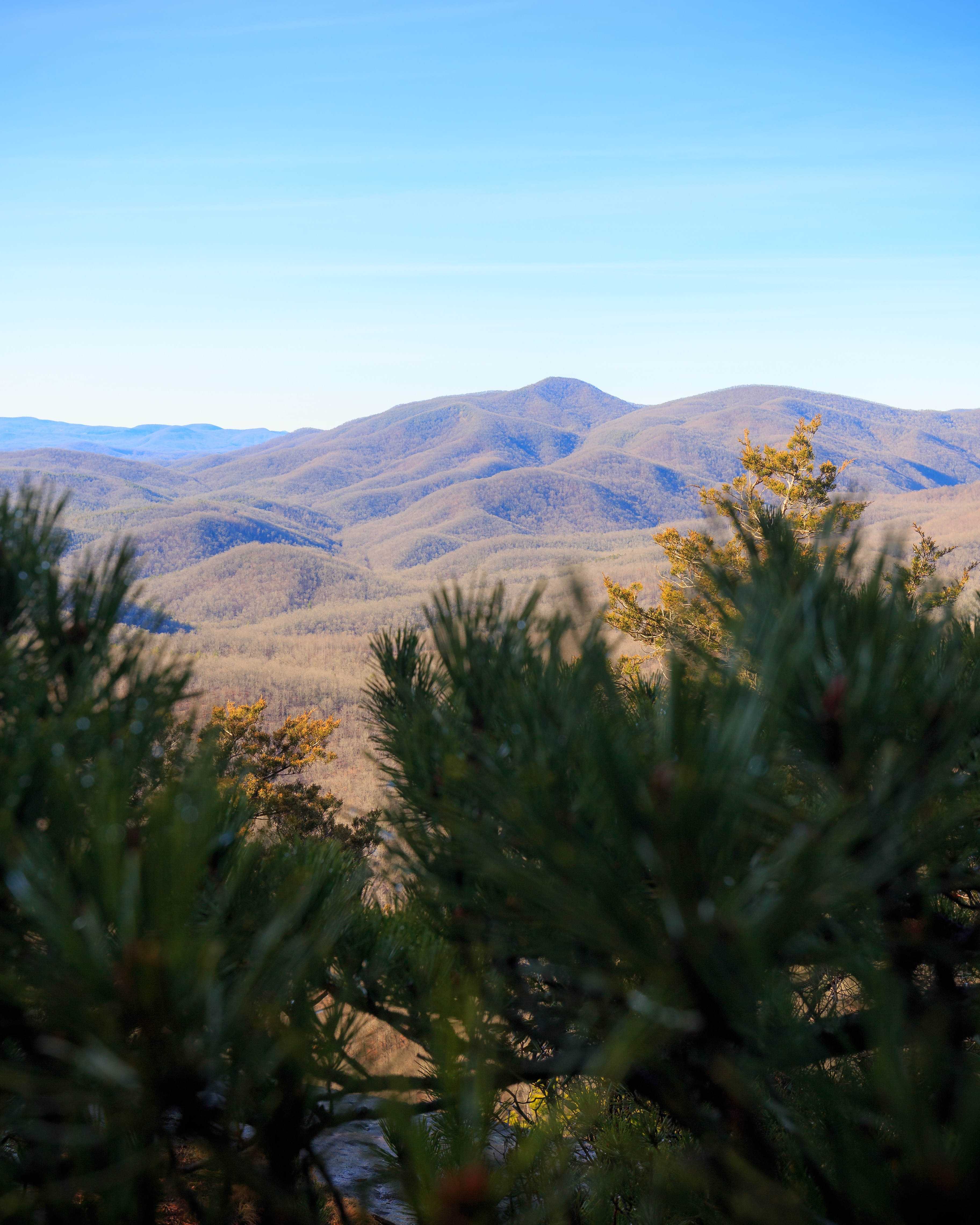 Looking Glass Mountain. Right outside of Asheville, NC. Christmas Eve