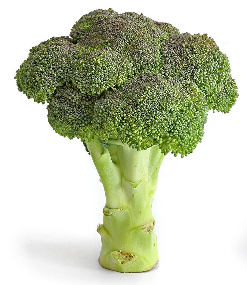 Literally just a picture of broccoli. r/vegancirclejerk