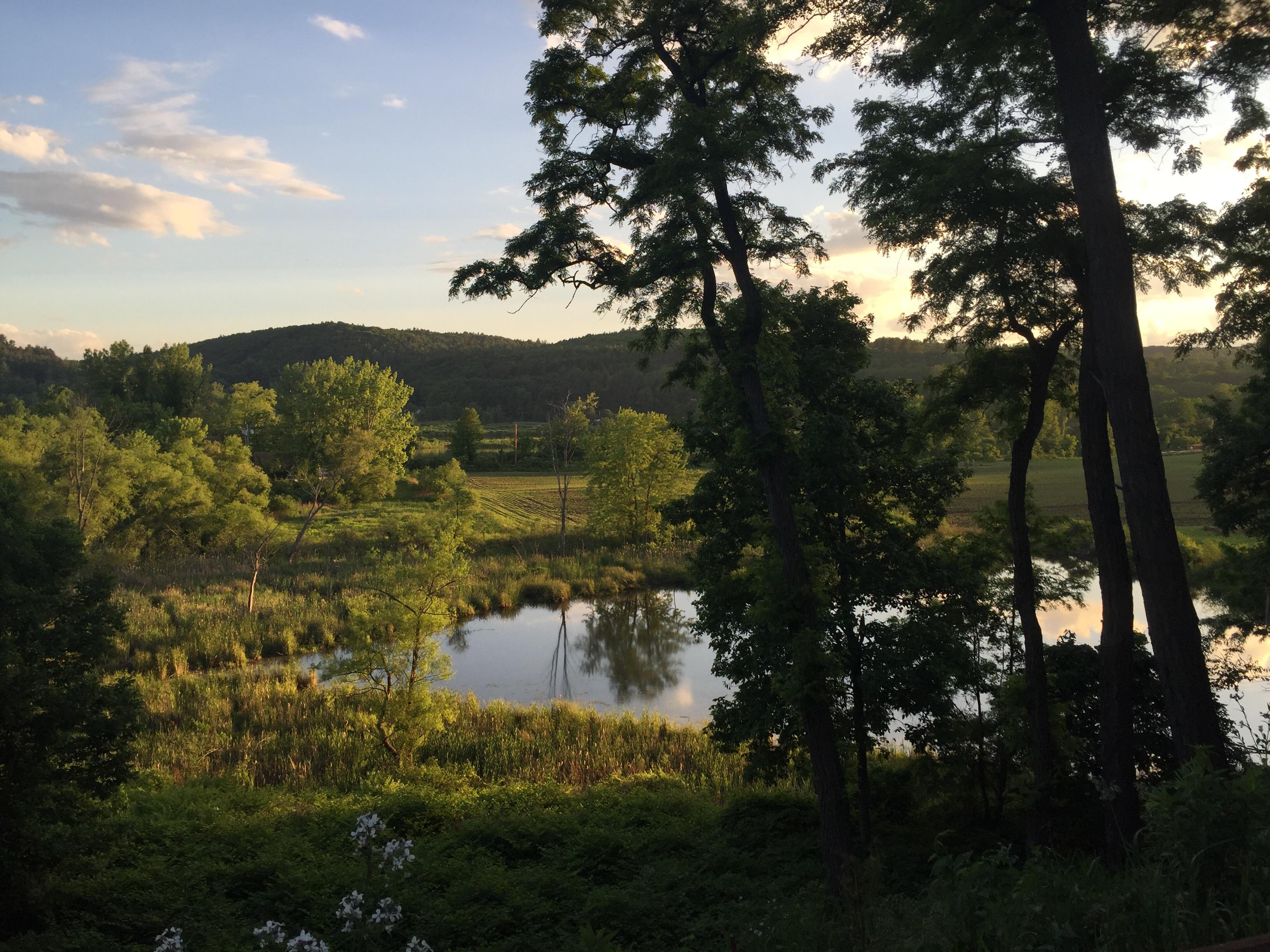 Spent the summer working in Putney, VT. This was taken along a trail in