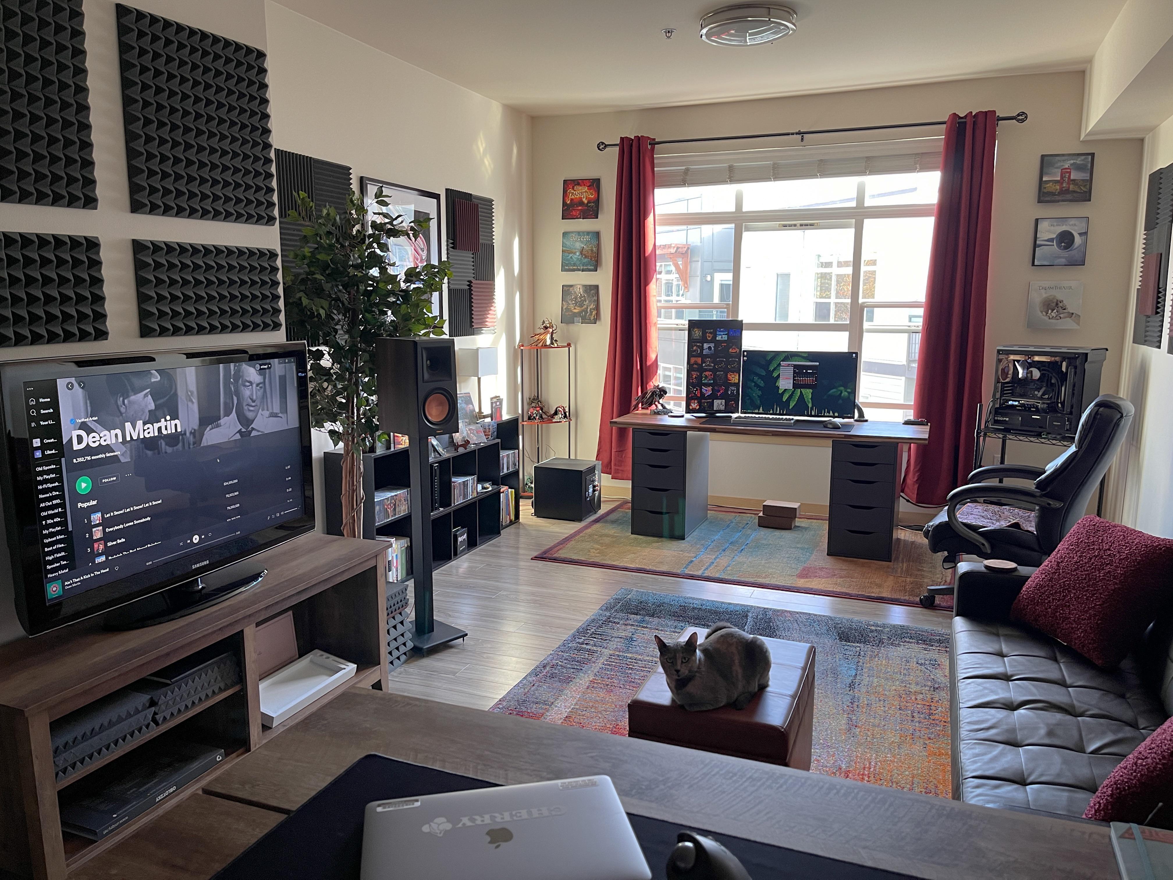 Got some throw pillows r/malelivingspace