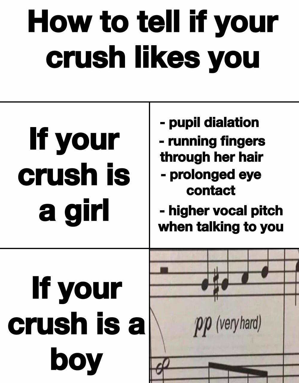 A guide to finding out if your crush likes you r/lingling40hrs