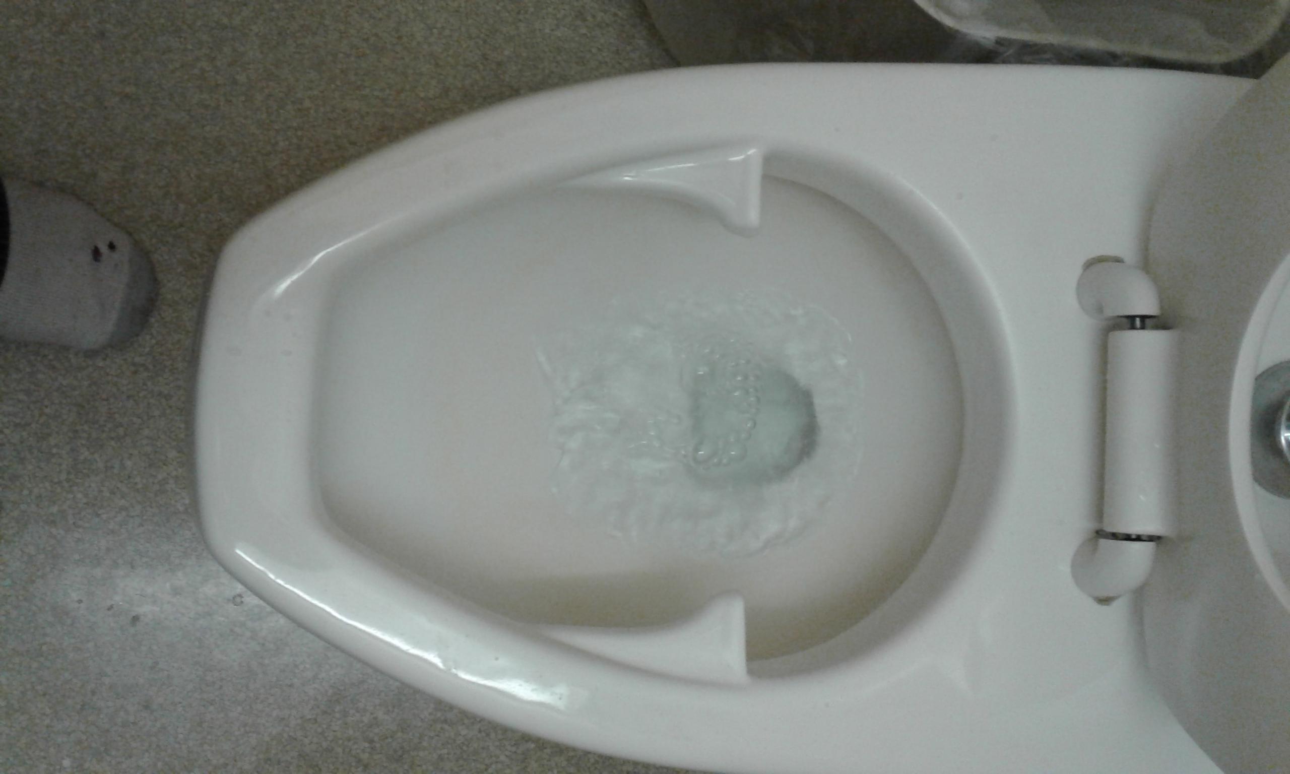 What are the "tabs" in this toilet? r/whatisthisthing